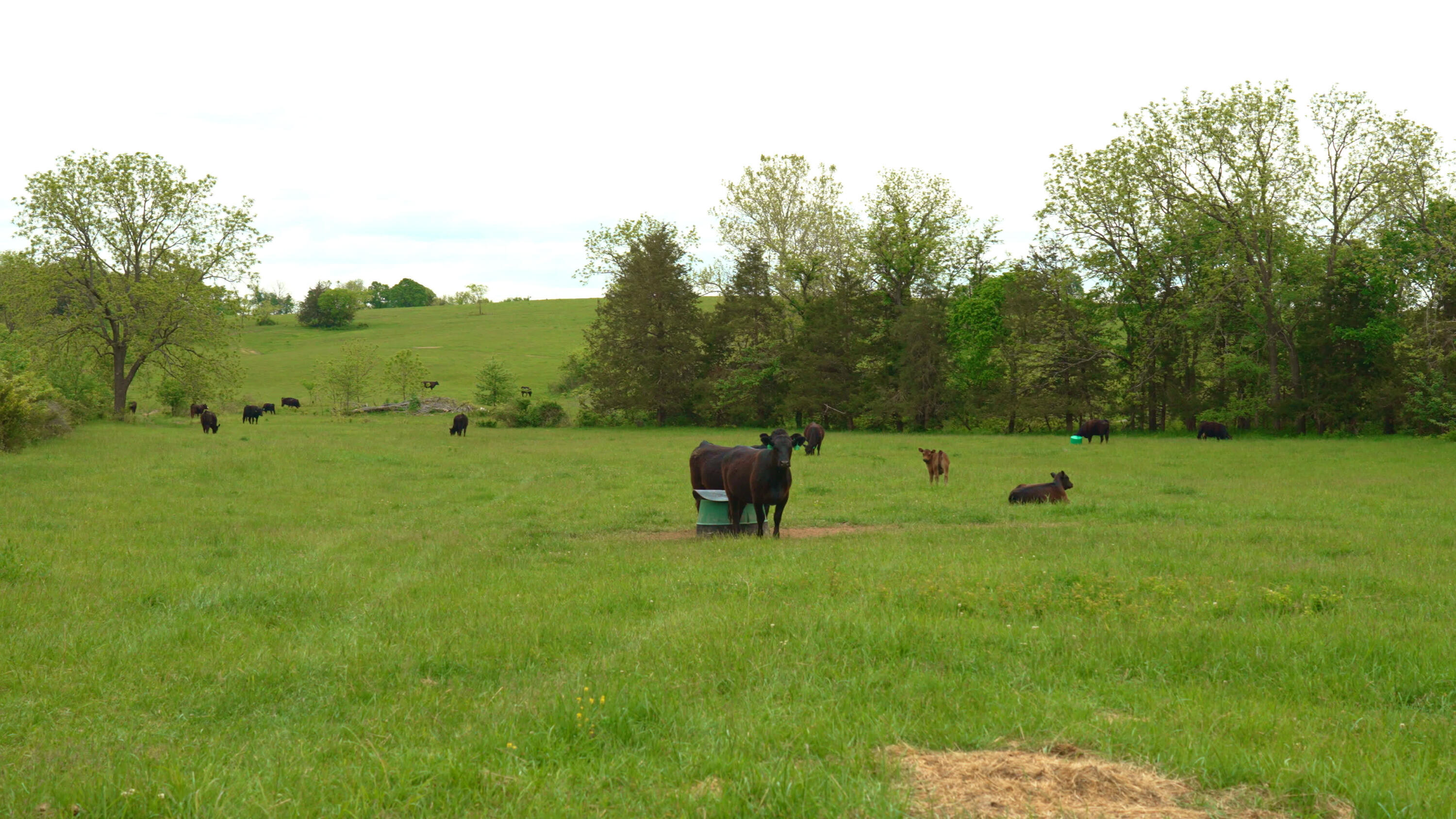 11205 Claxton Rd Road Property Photo 8