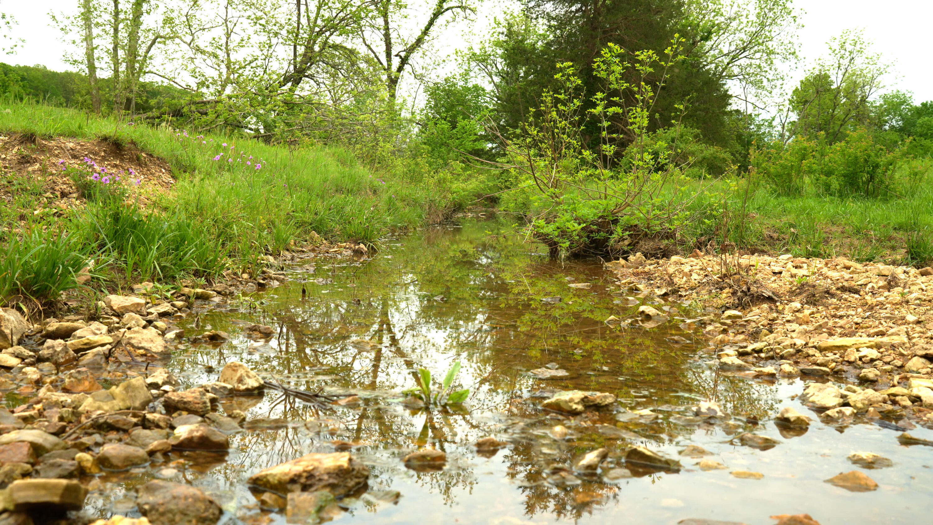 11205 Claxton Rd Road Property Photo 9