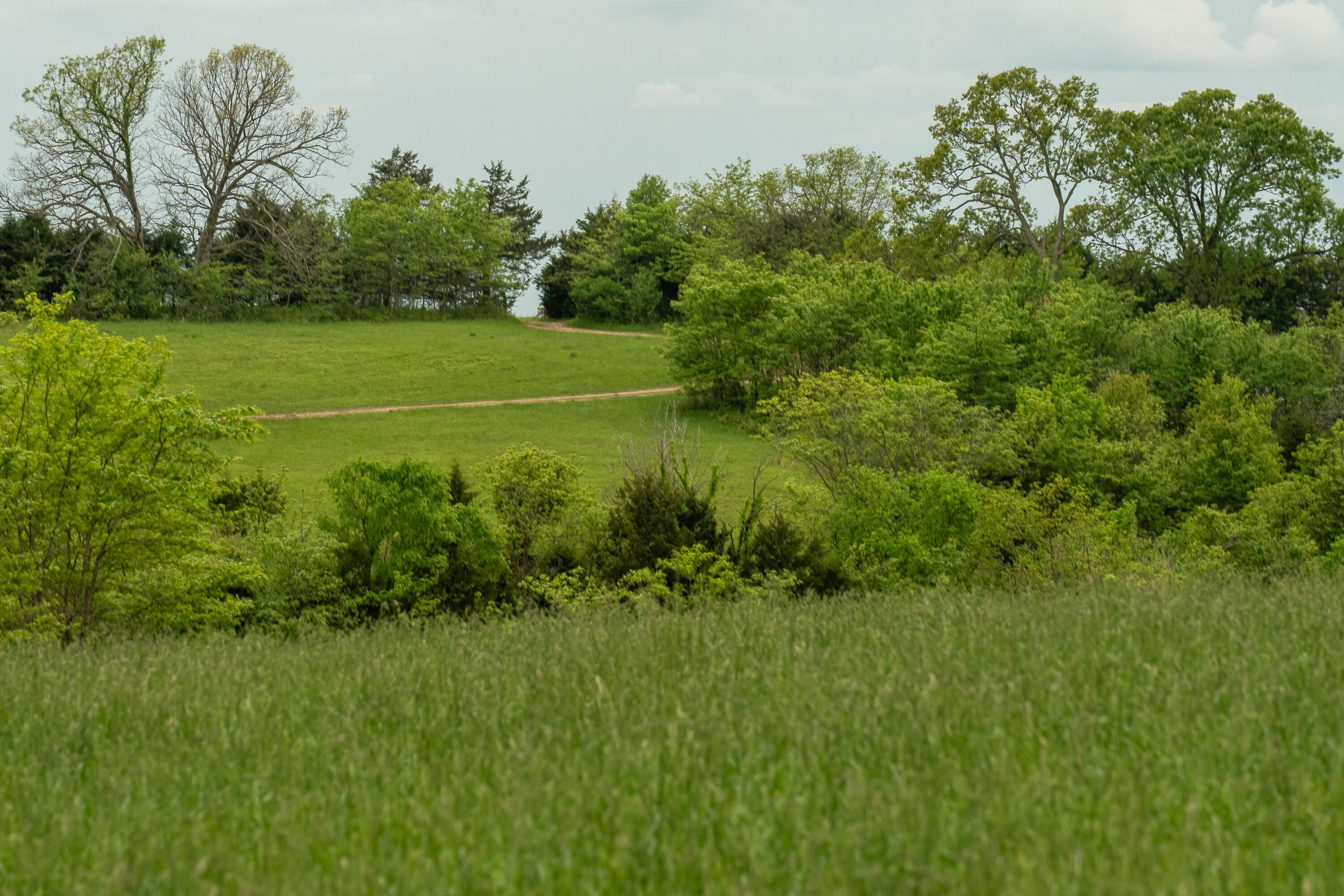 11205 Claxton Rd Road Property Photo 16