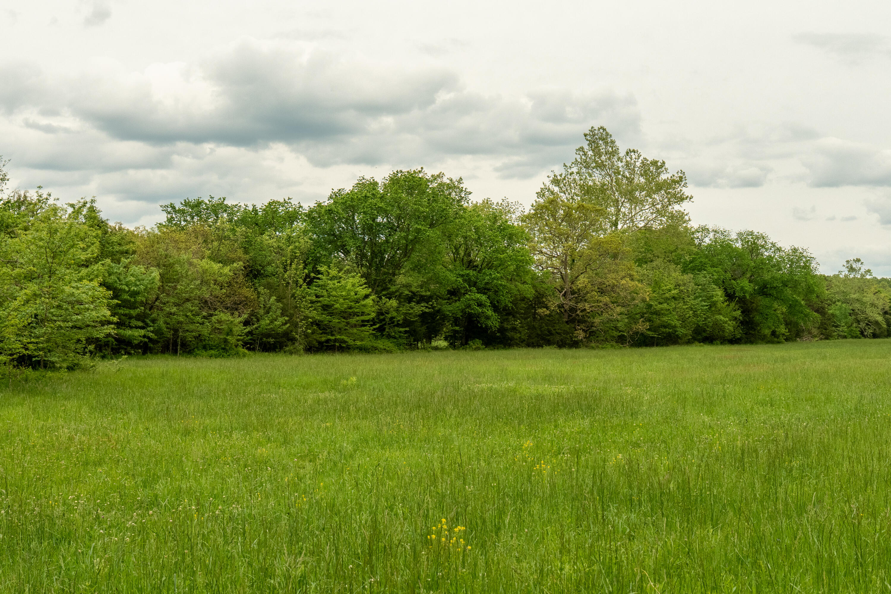 11205 Claxton Rd Road Property Photo 18