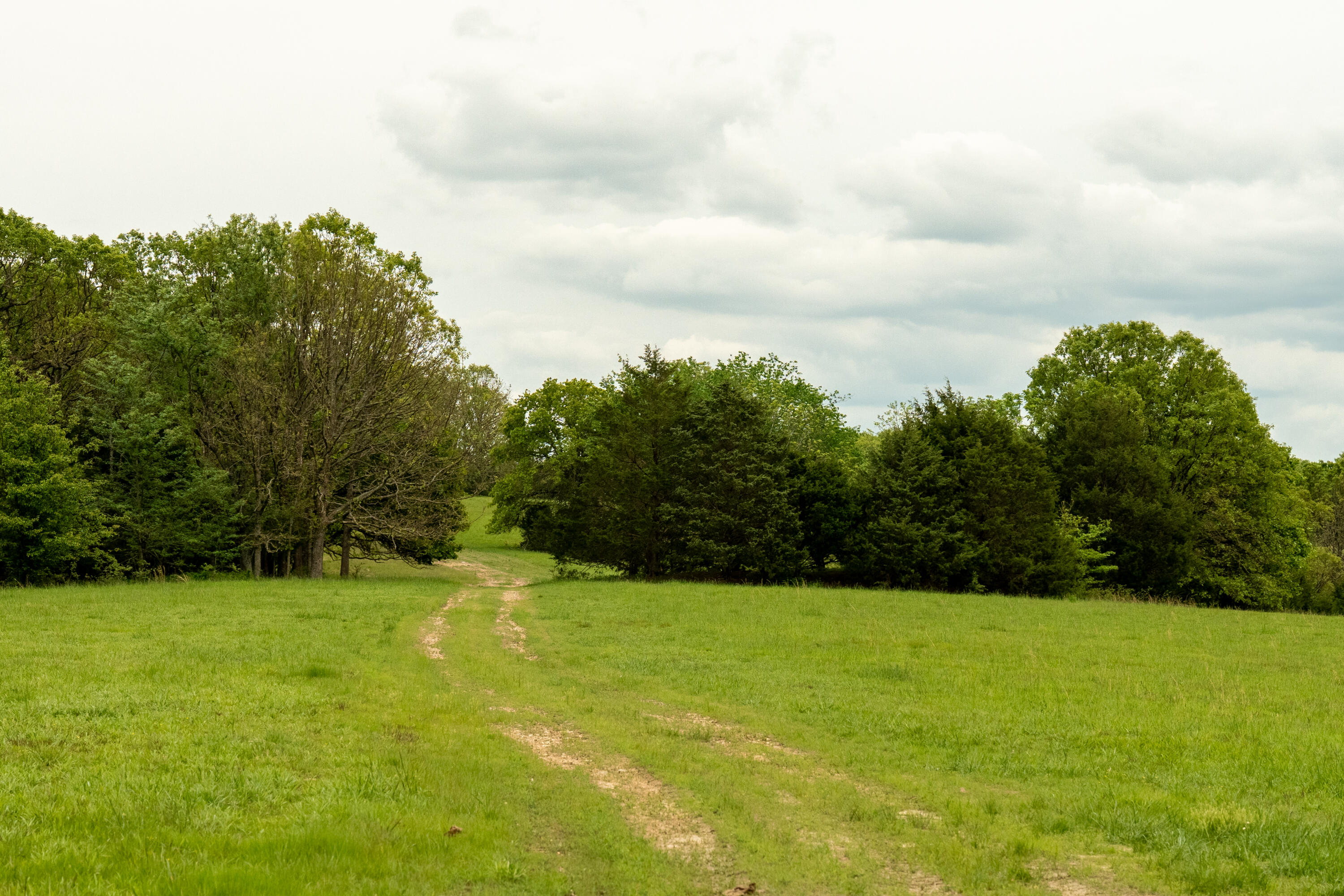 11205 Claxton Rd Road Property Photo 22