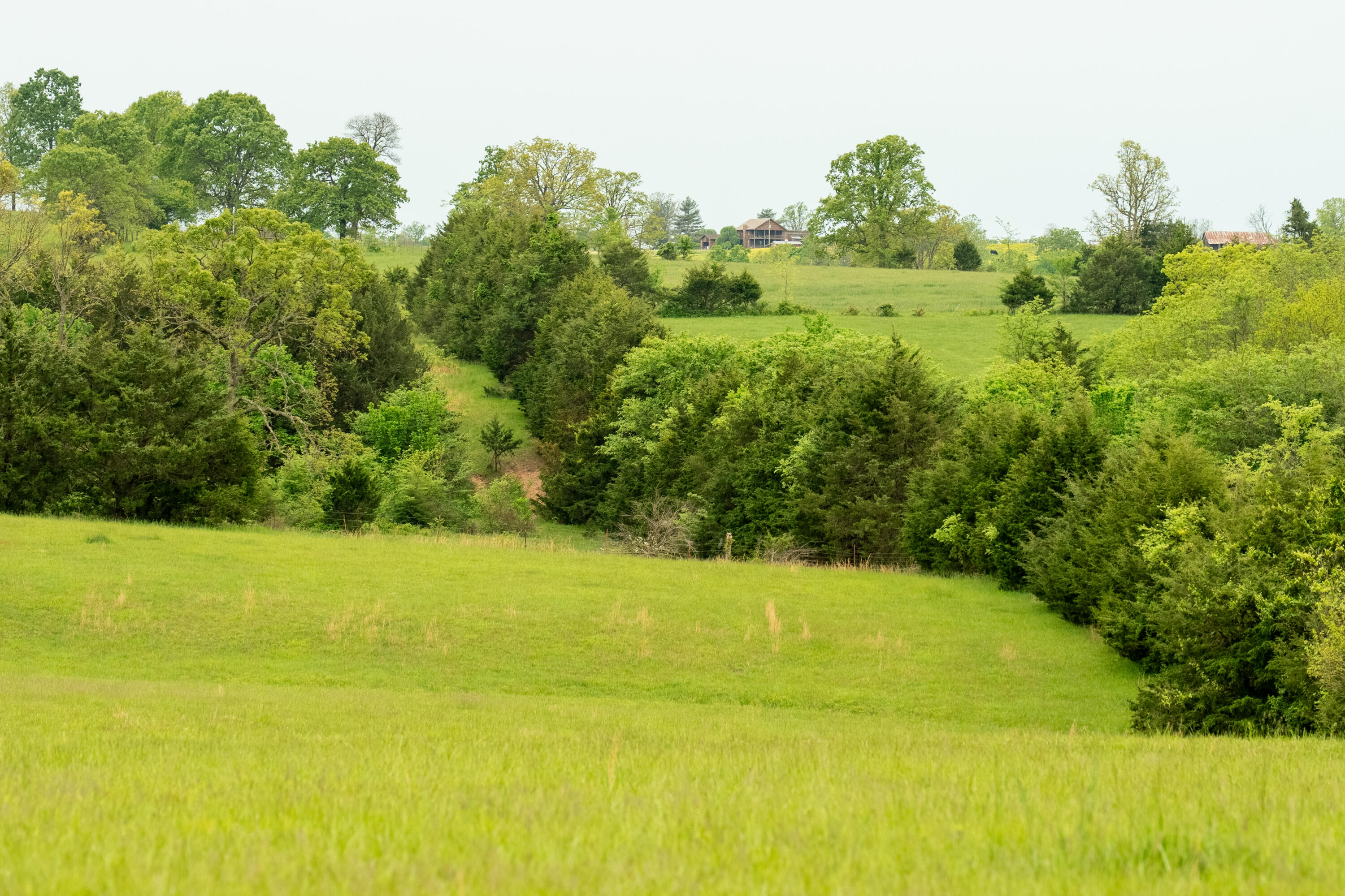 11205 Claxton Rd Road Property Photo 24