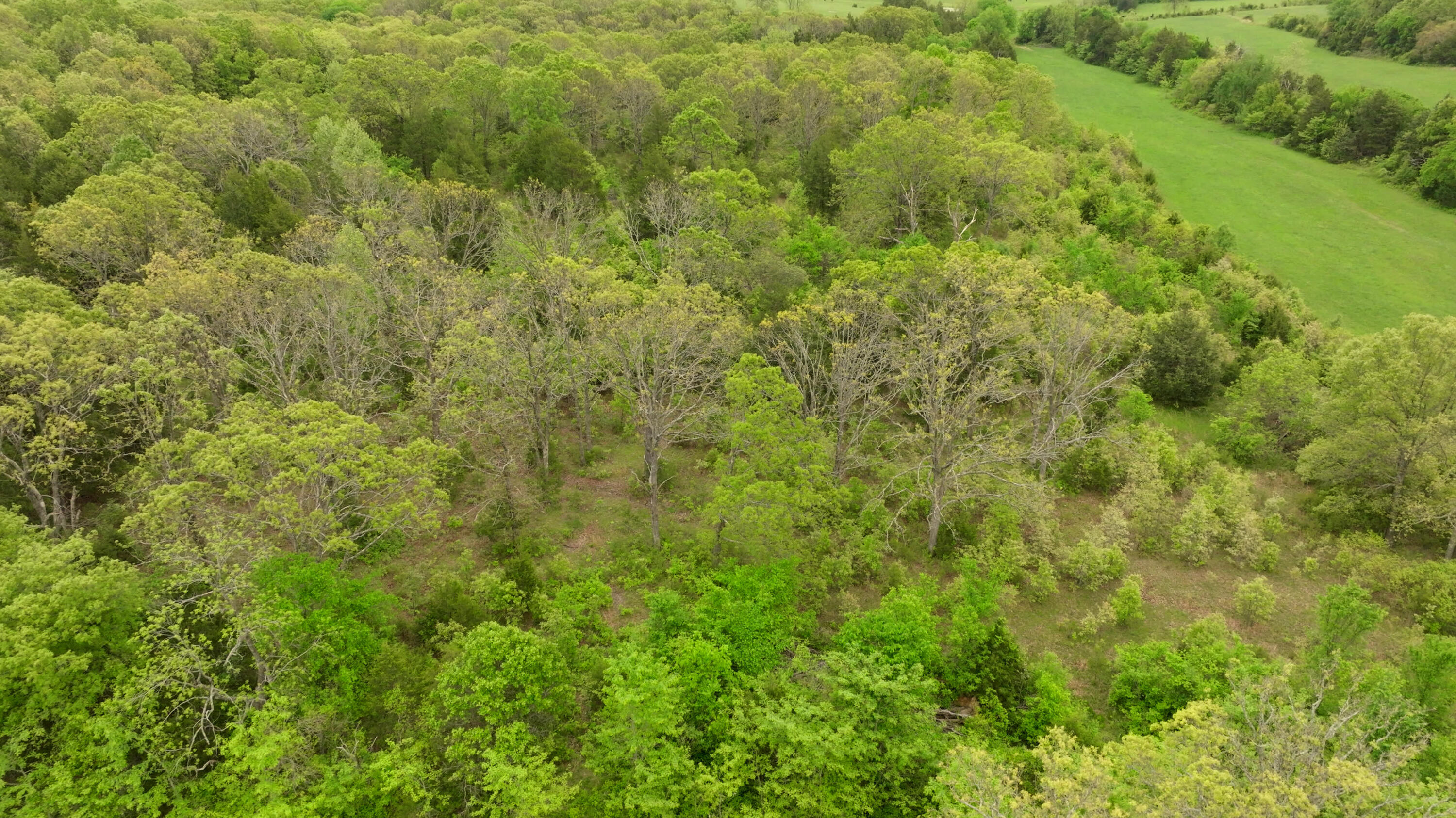 11205 Claxton Rd Road Property Photo 25