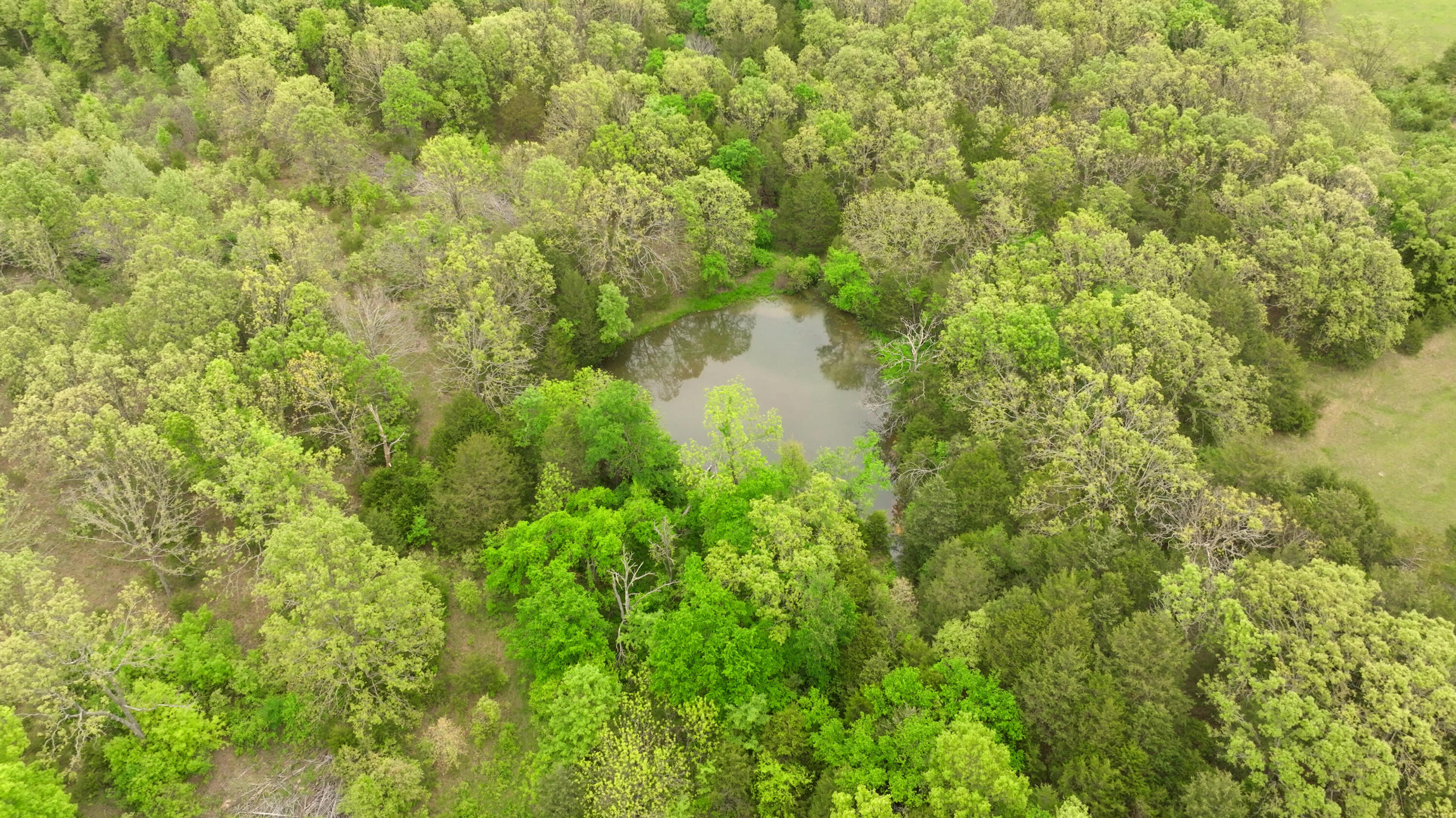 11205 Claxton Rd Road Property Photo 27