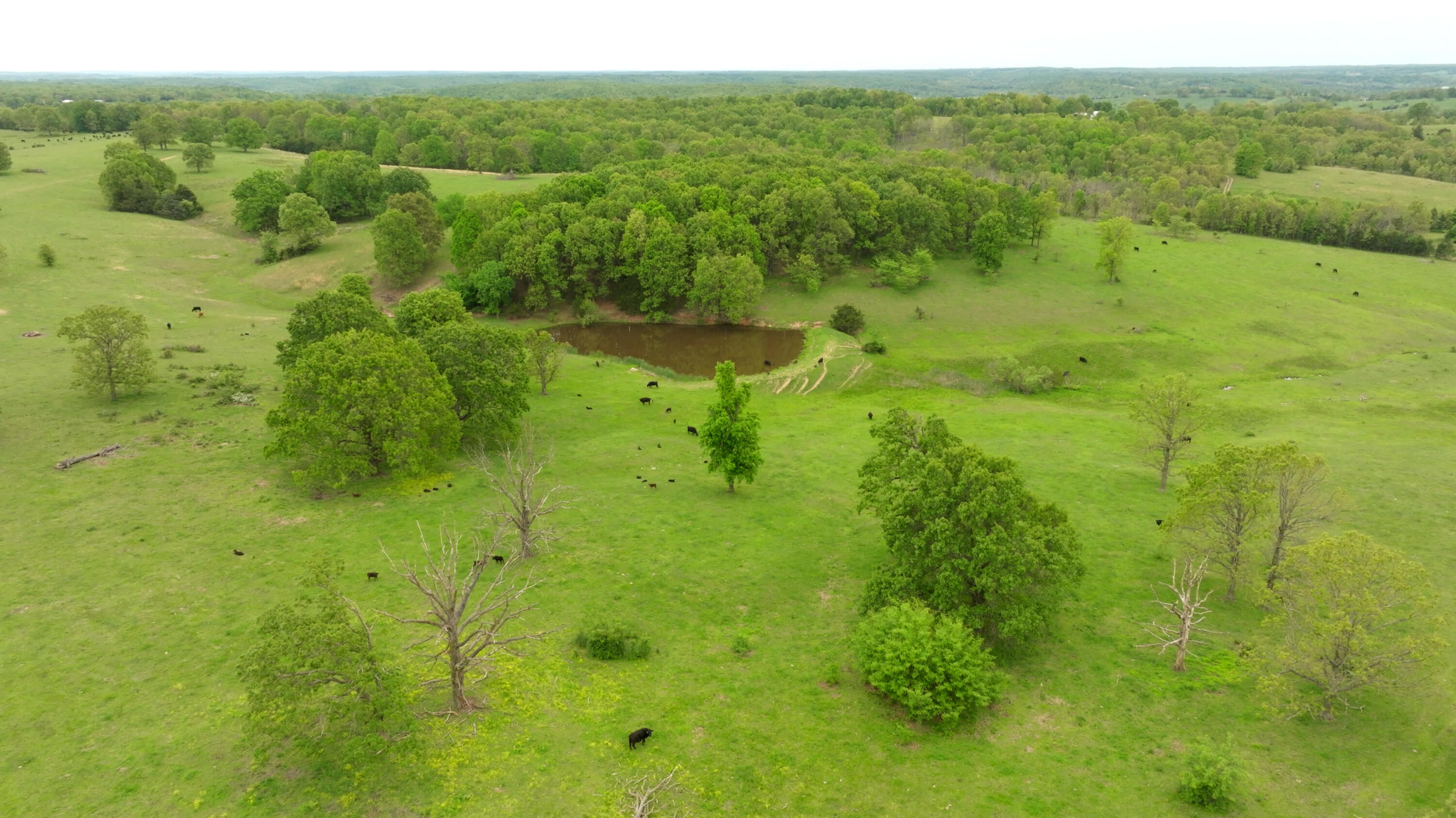 11205 Claxton Rd Road Property Photo 34