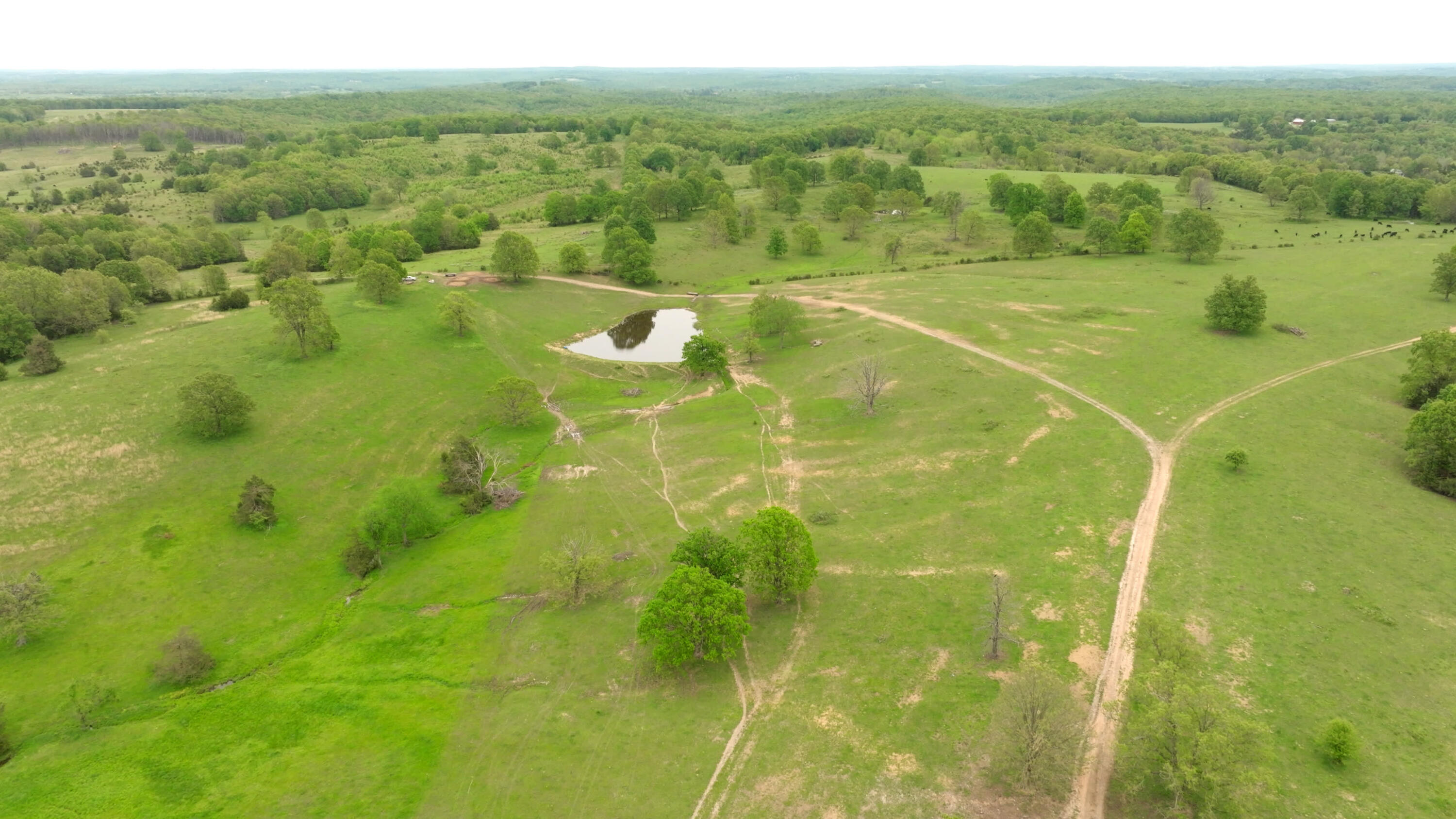 11205 Claxton Rd Road Property Photo 35