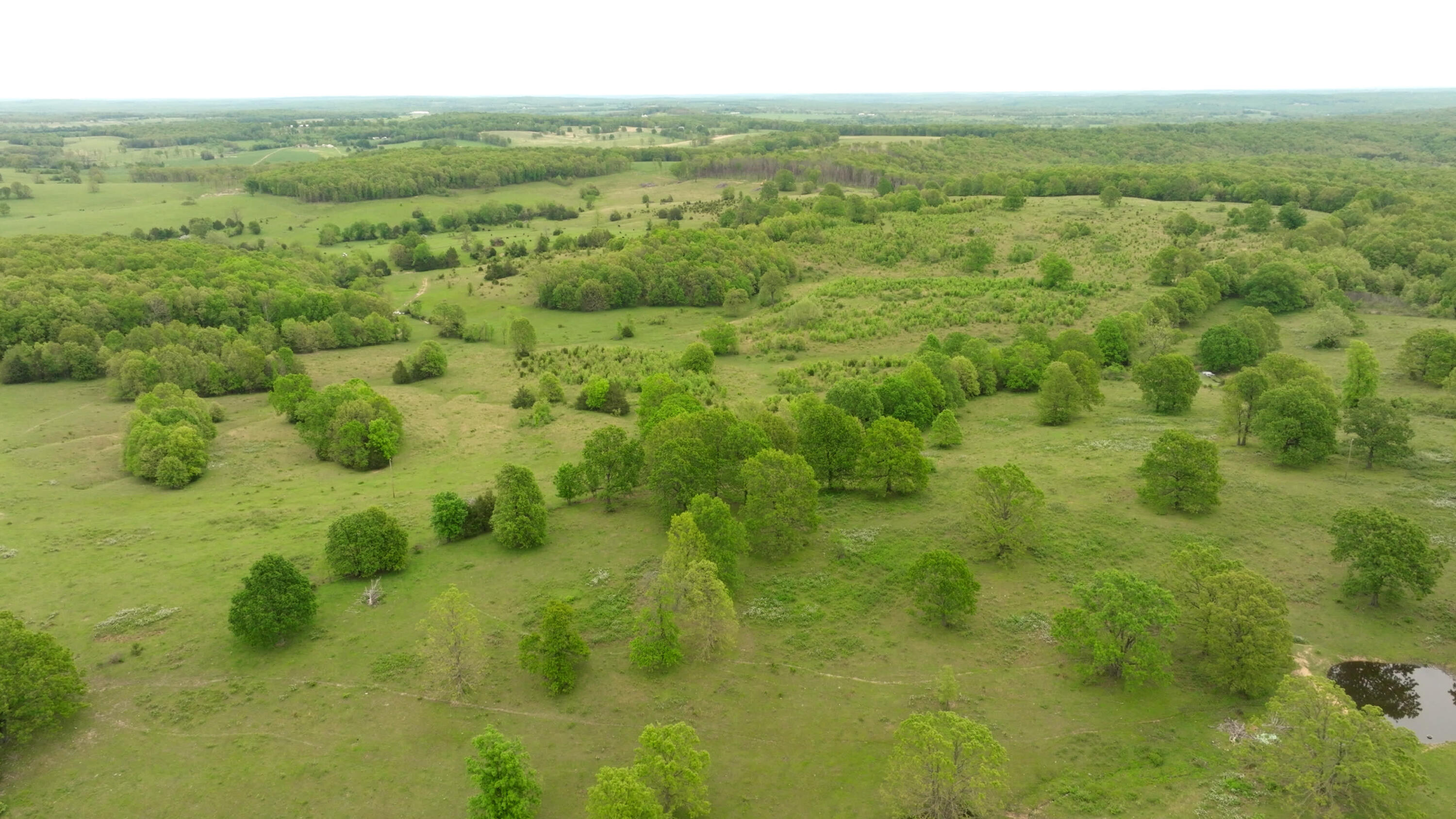 11205 Claxton Rd Road Property Photo 37