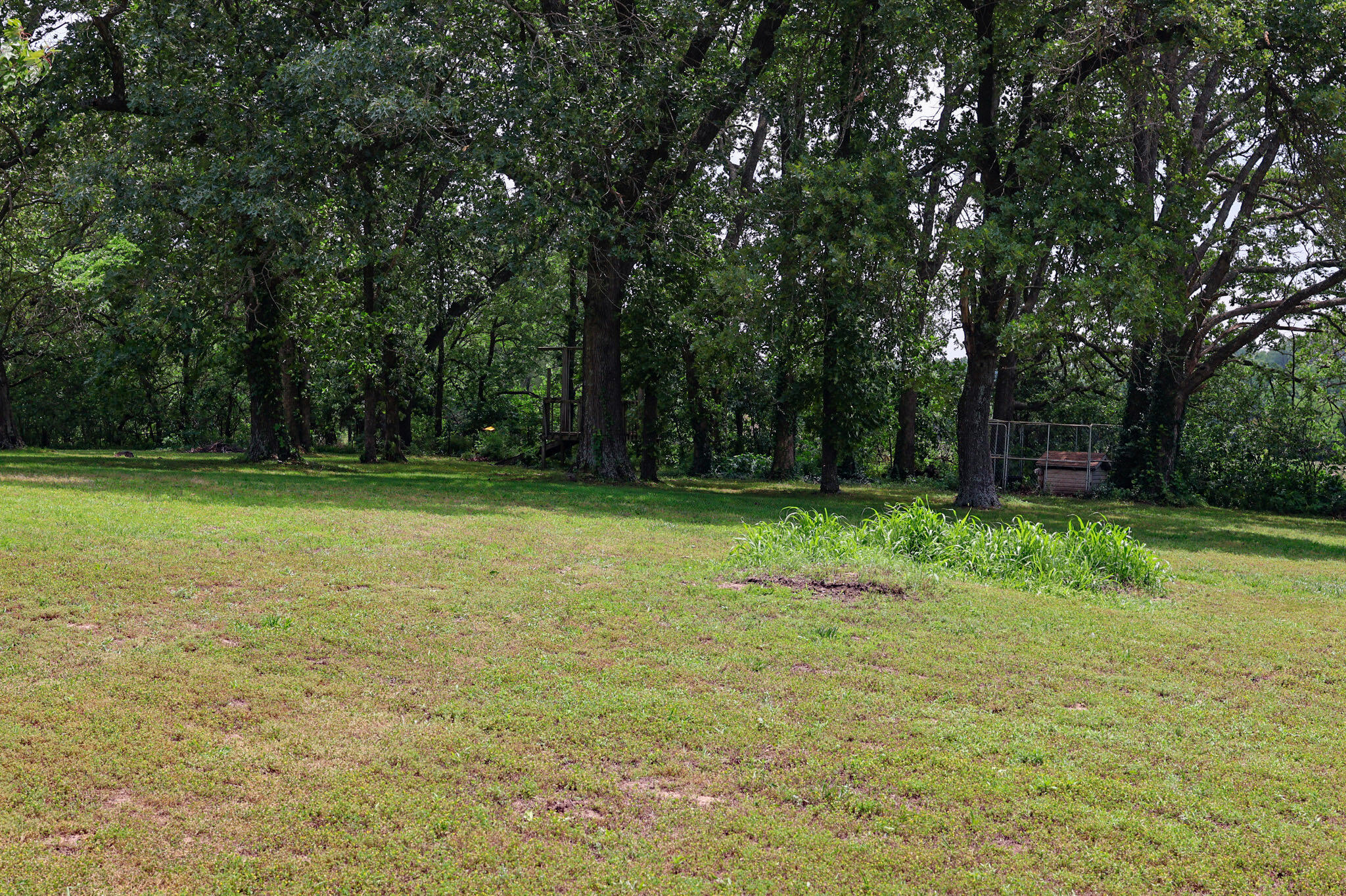 1138 Forest Ridge Drive Property Photo 66