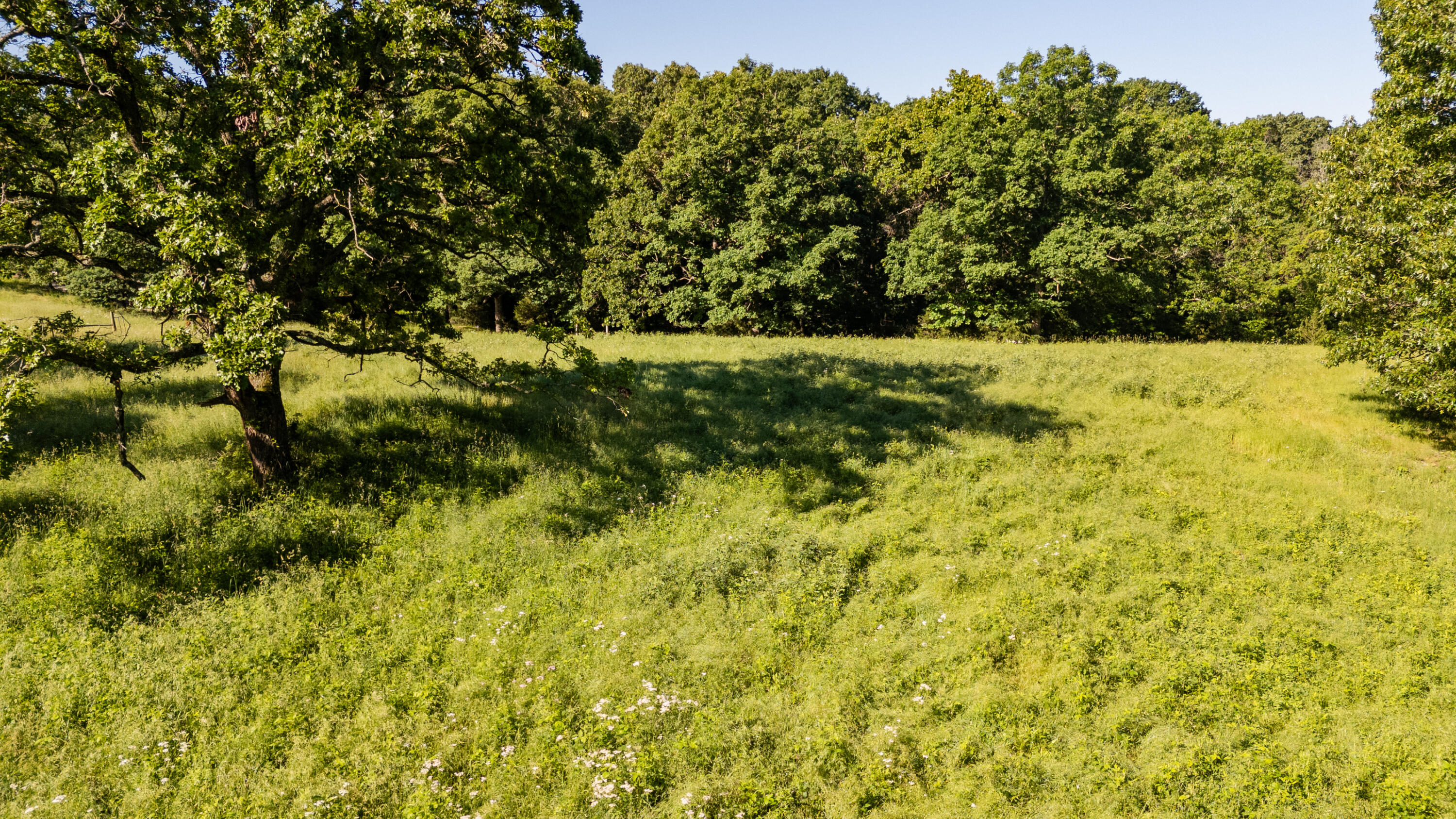 0000 Farm Road 1090 Property Photo 18