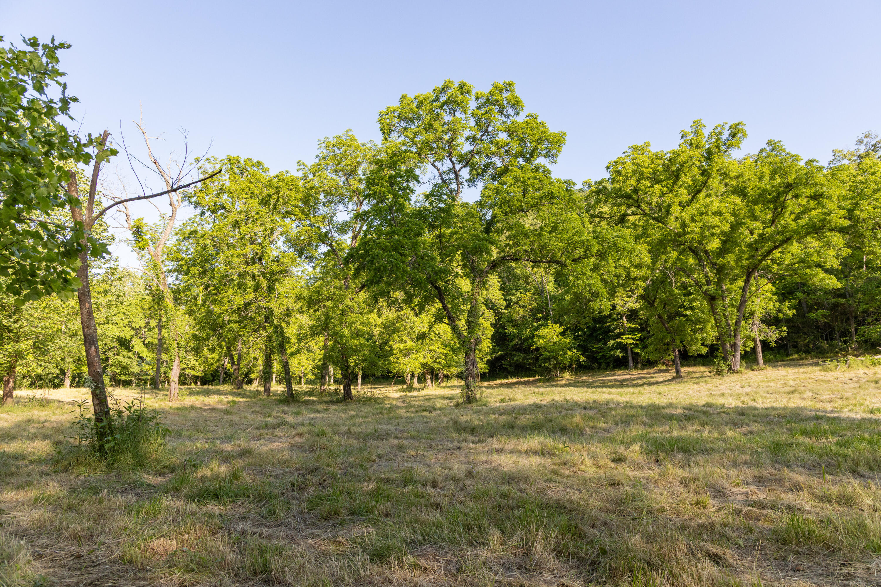 0000 Farm Road 1090 Property Photo 49