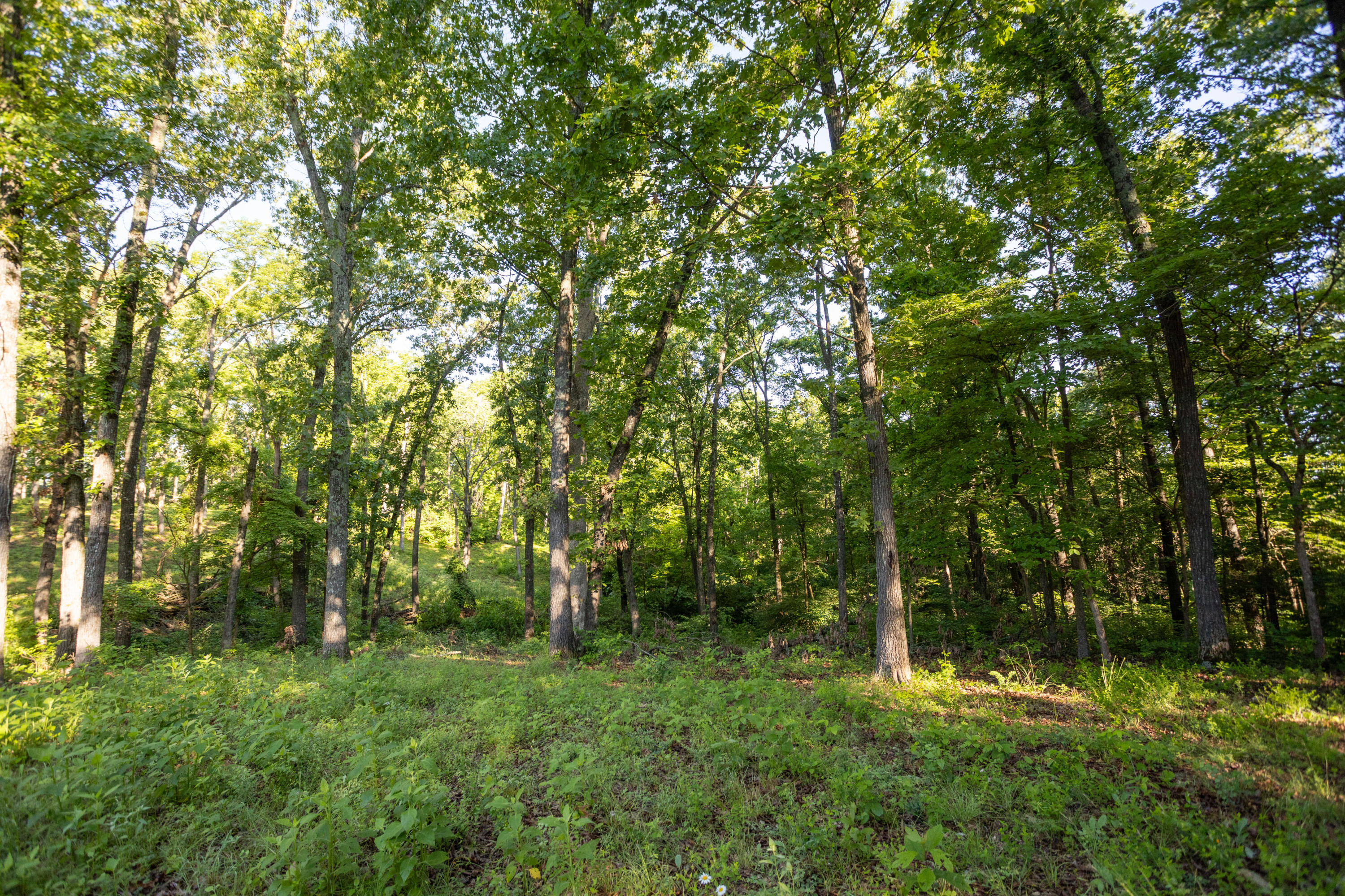 0000 Farm Road 1090 Property Photo 57