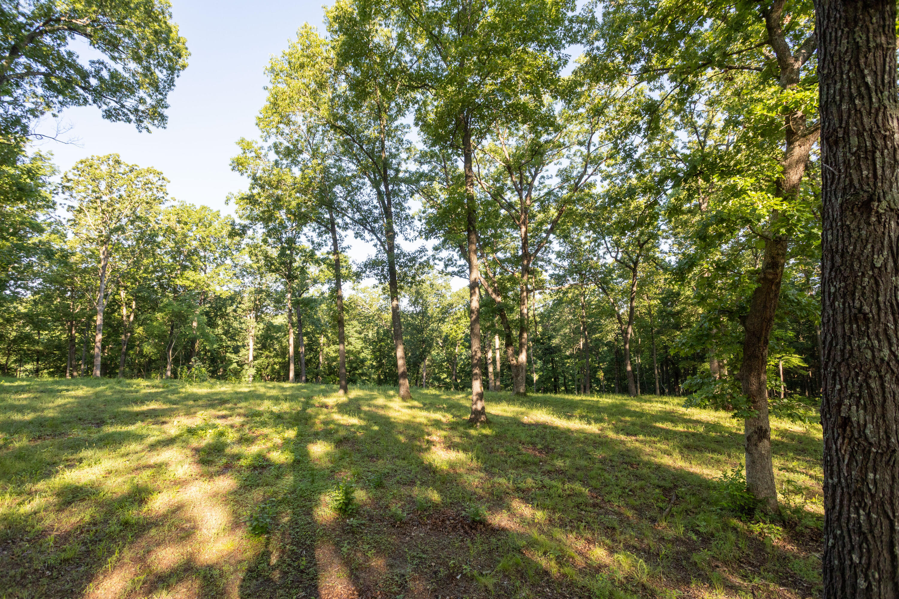 0000 Farm Road 1090 Property Photo 58