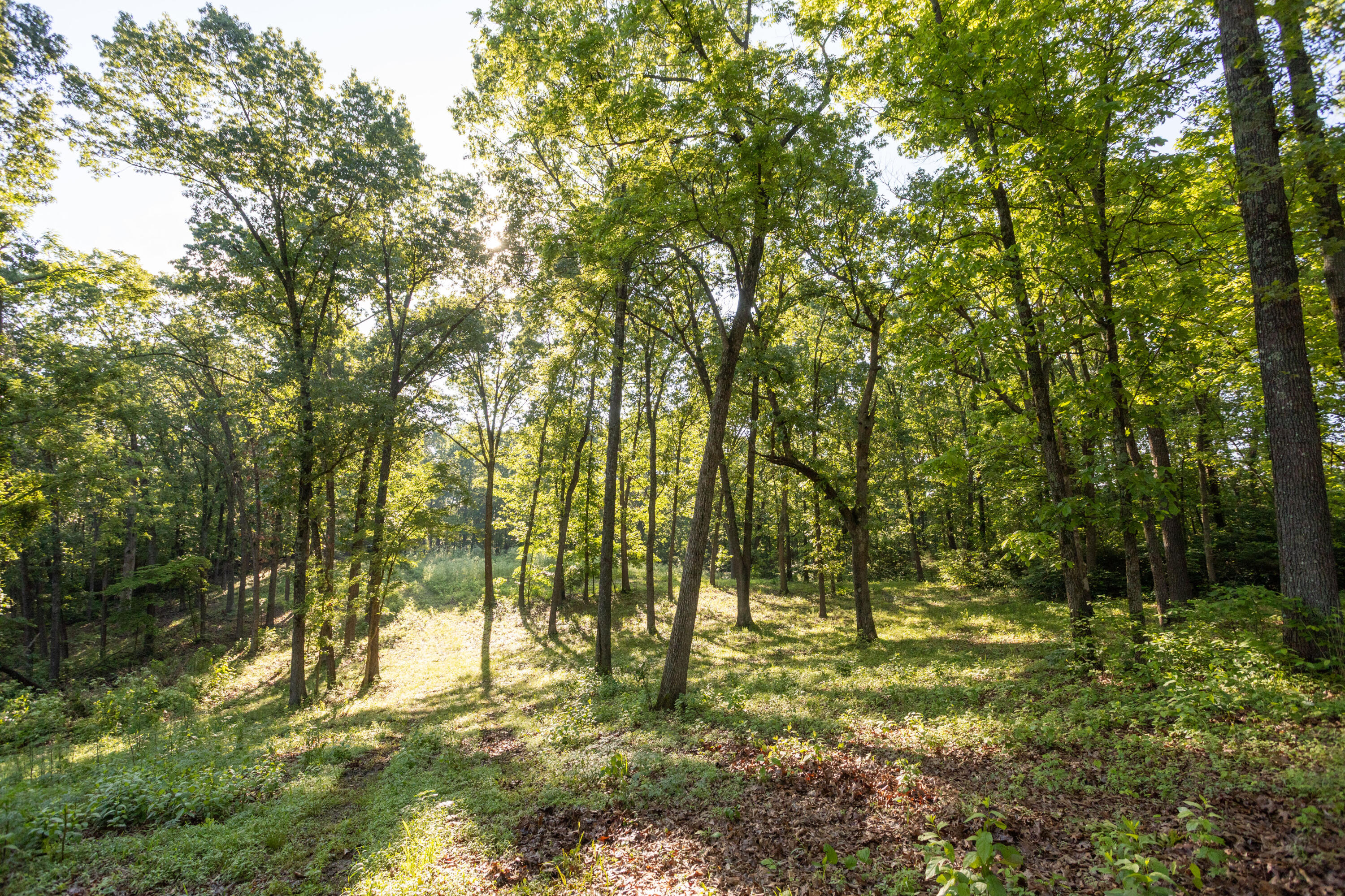0000 Farm Road 1090 Property Photo 60