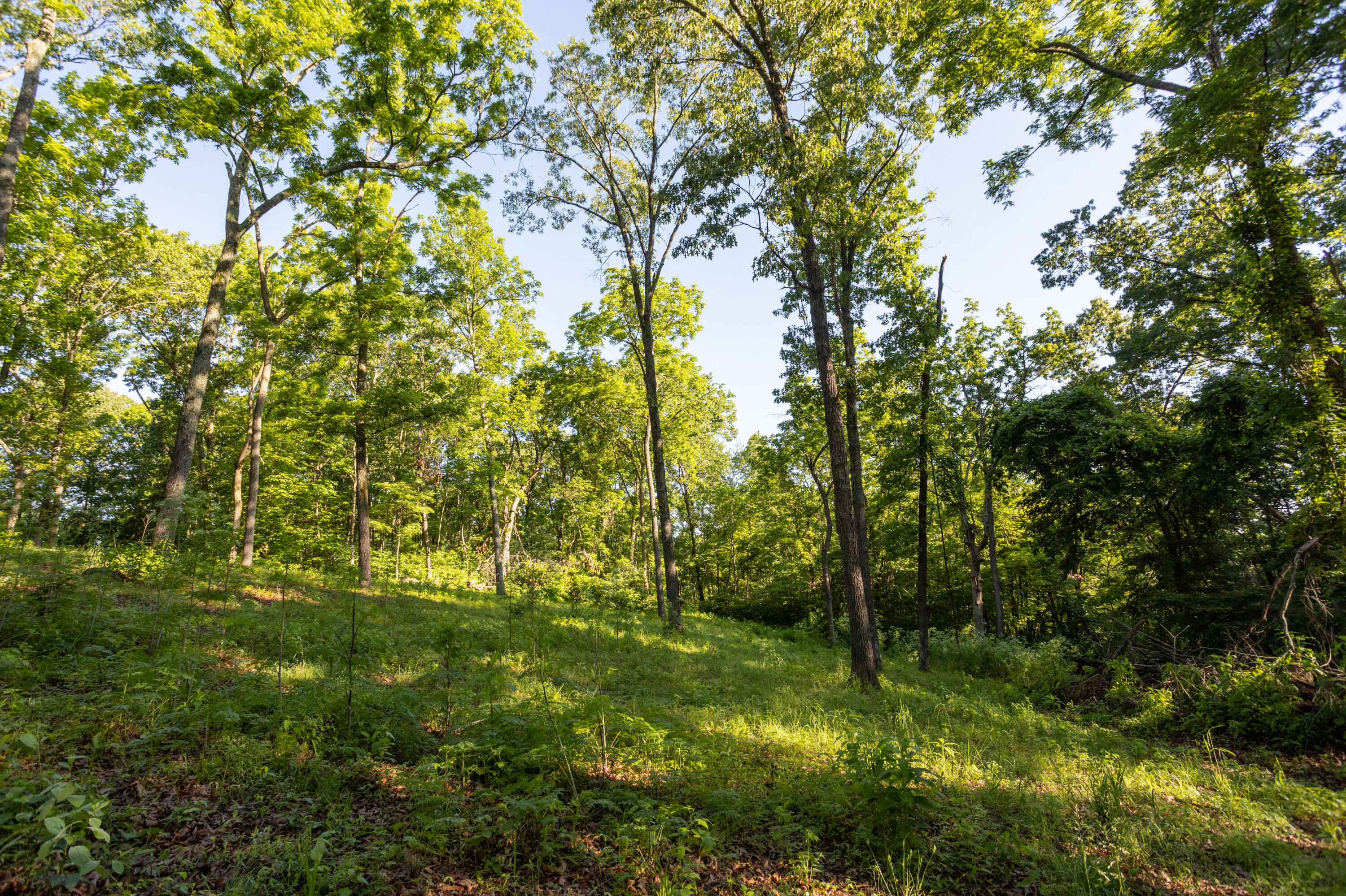 0000 Farm Road 1090 Property Photo 61