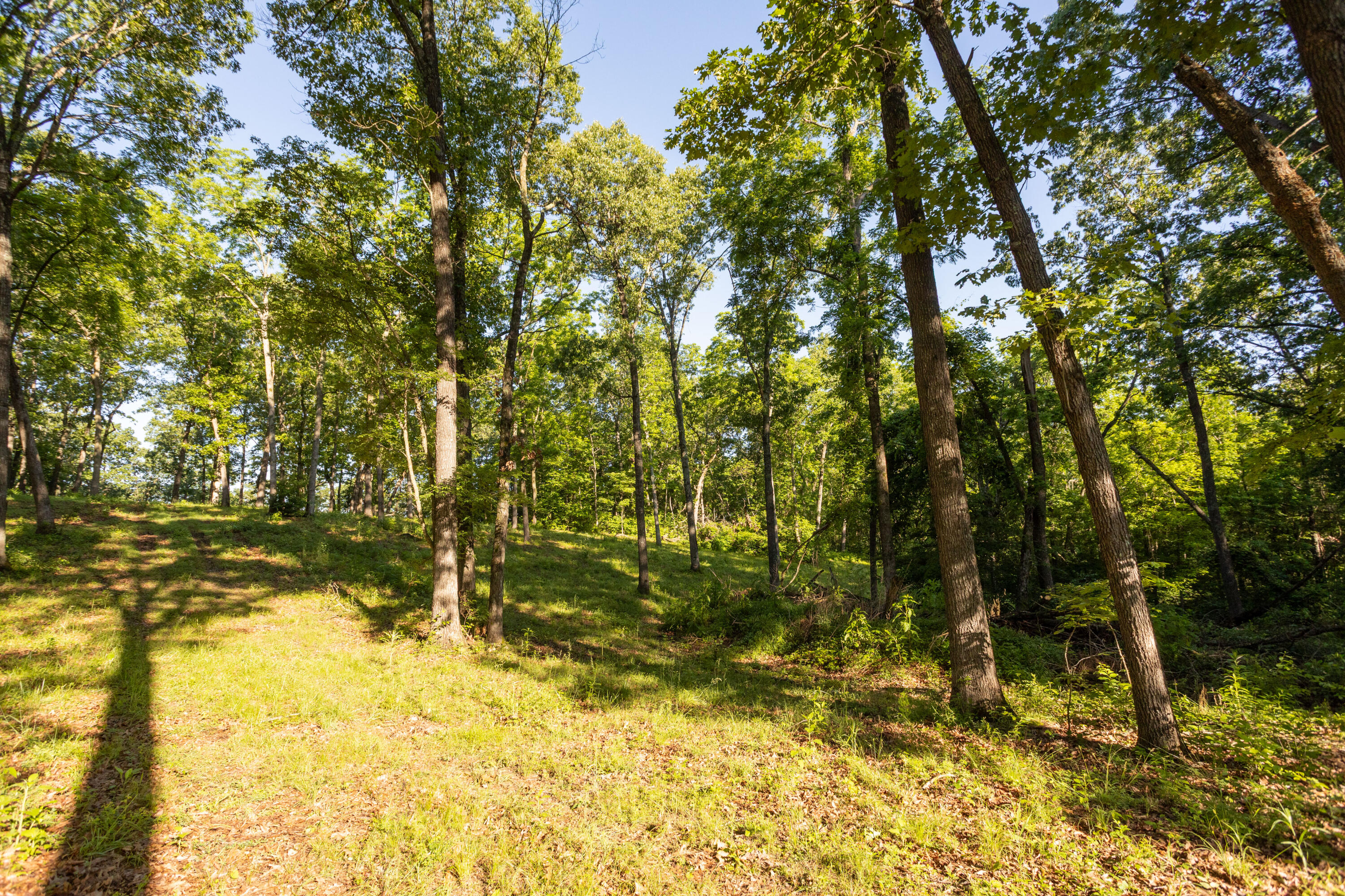 0000 Farm Road 1090 Property Photo 62