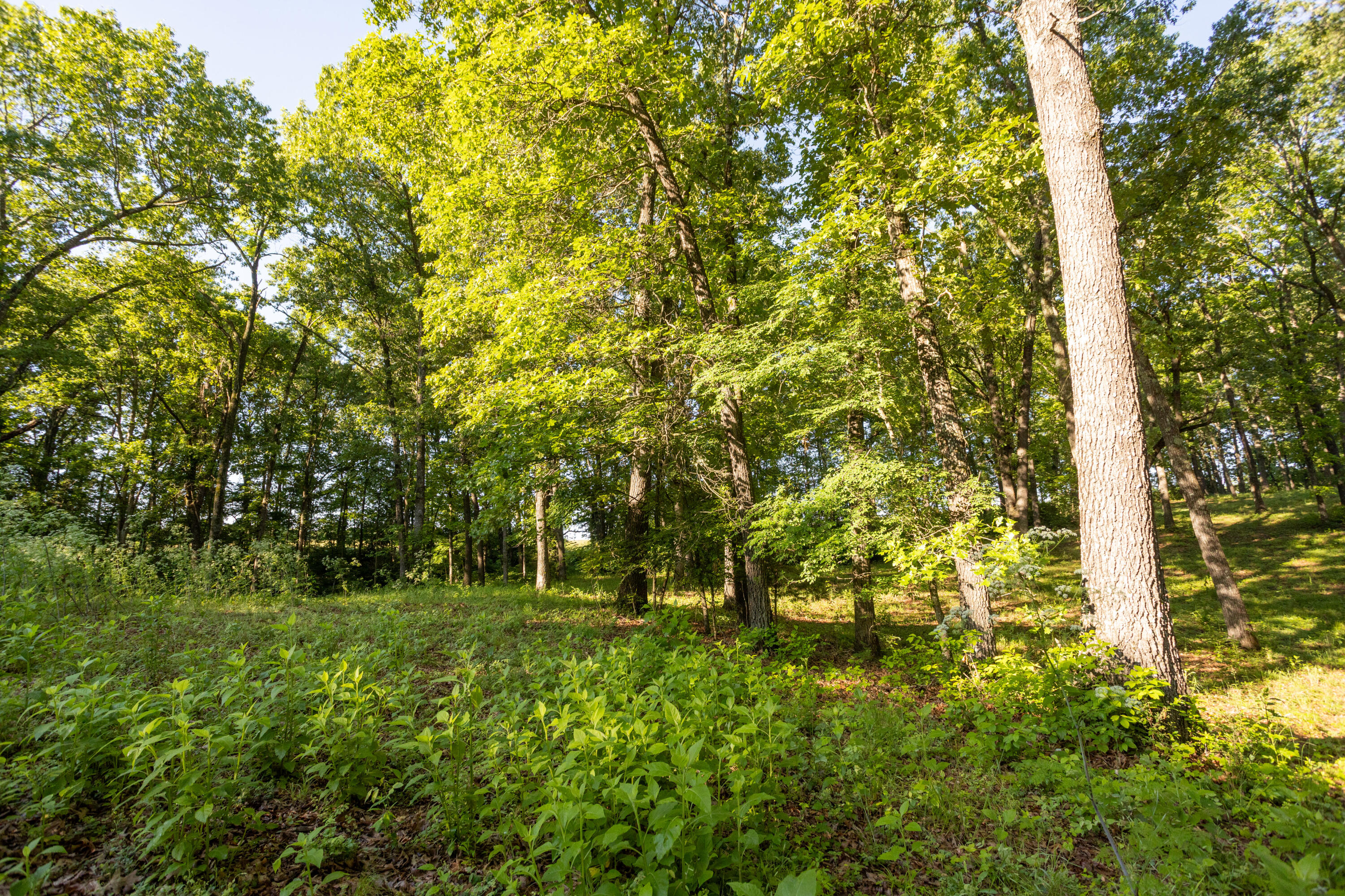 0000 Farm Road 1090 Property Photo 63