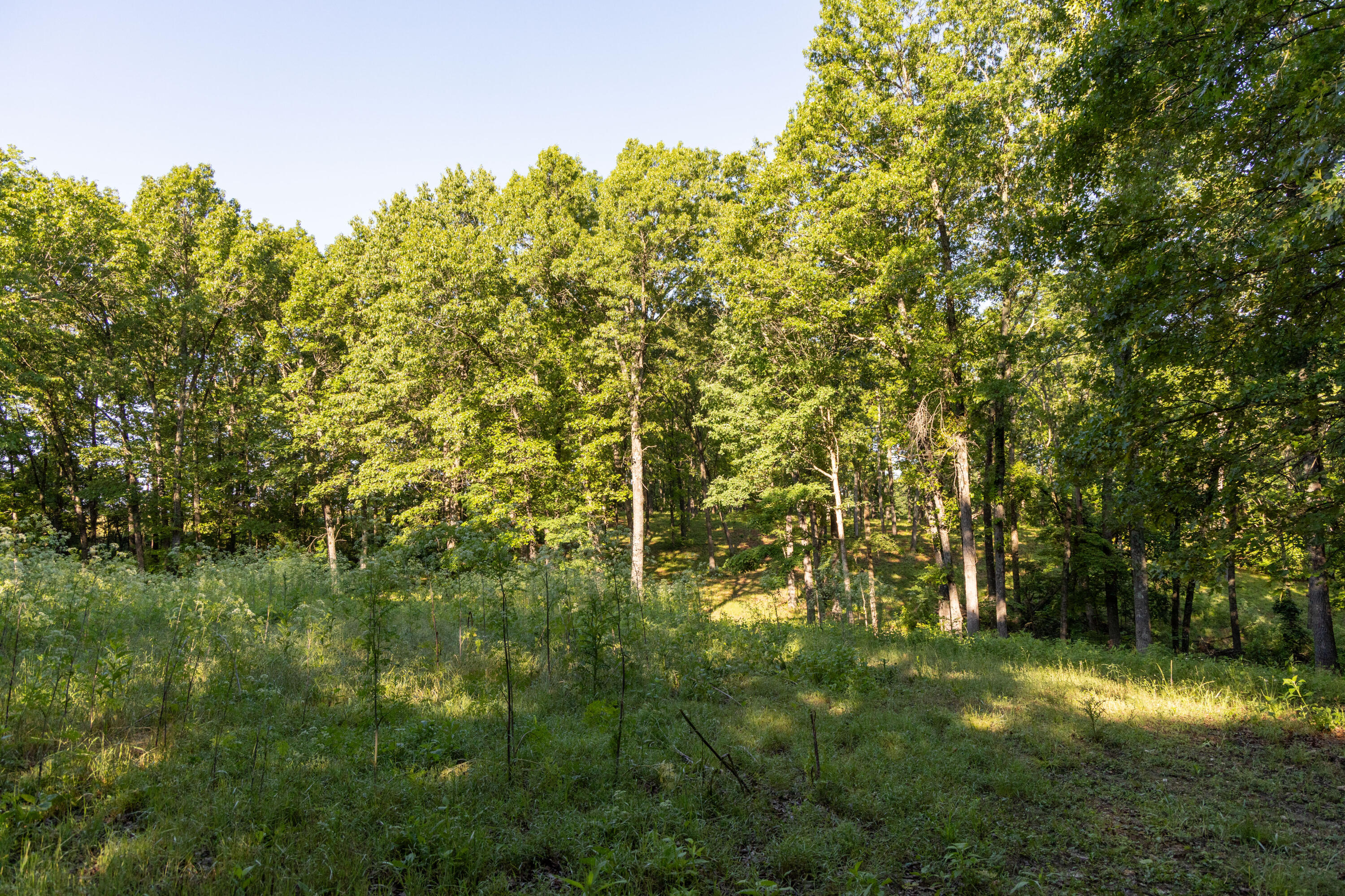 0000 Farm Road 1090 Property Photo 65