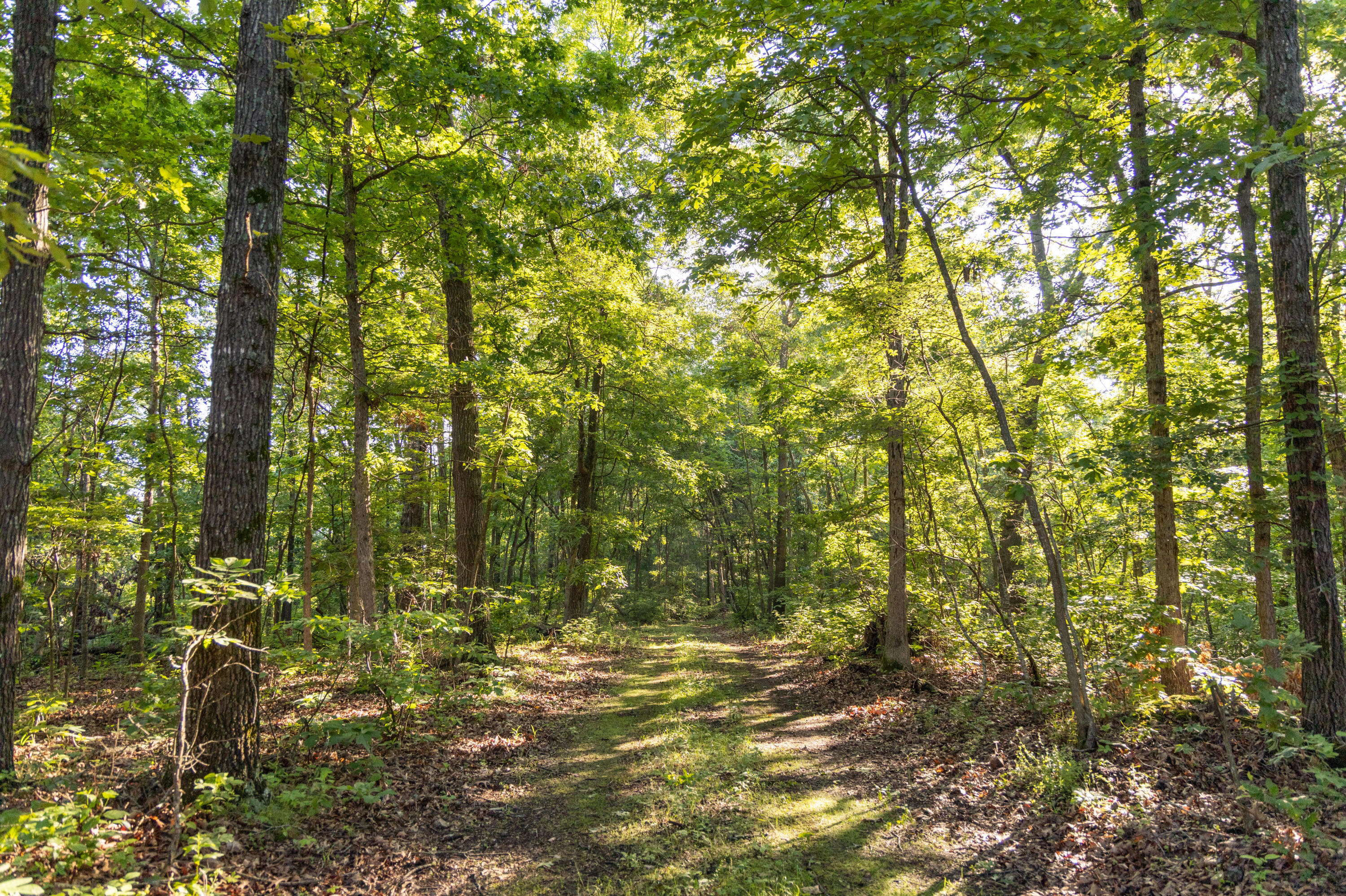 0000 Farm Road 1090 Property Photo 66