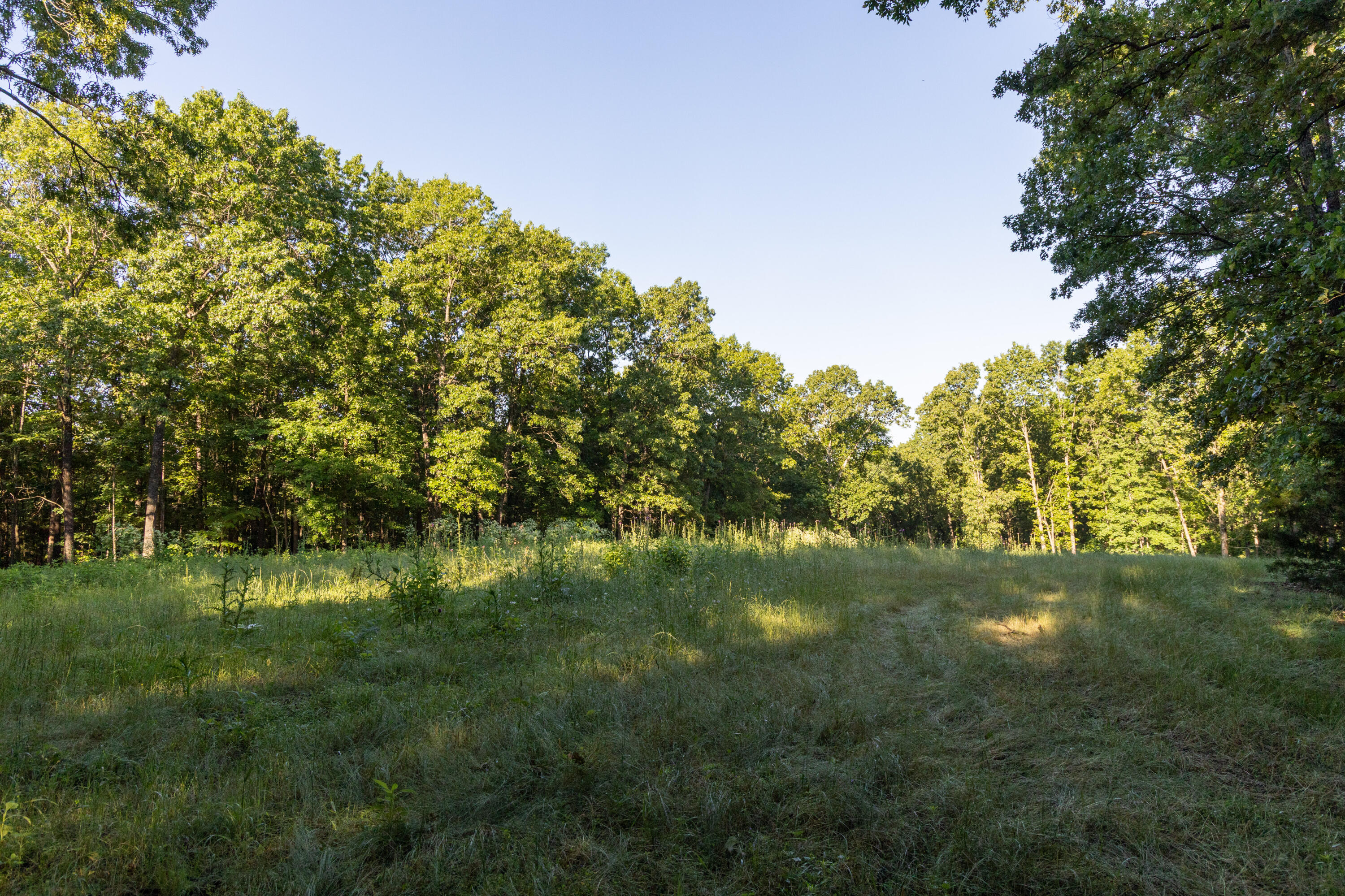 0000 Farm Road 1090 Property Photo 67