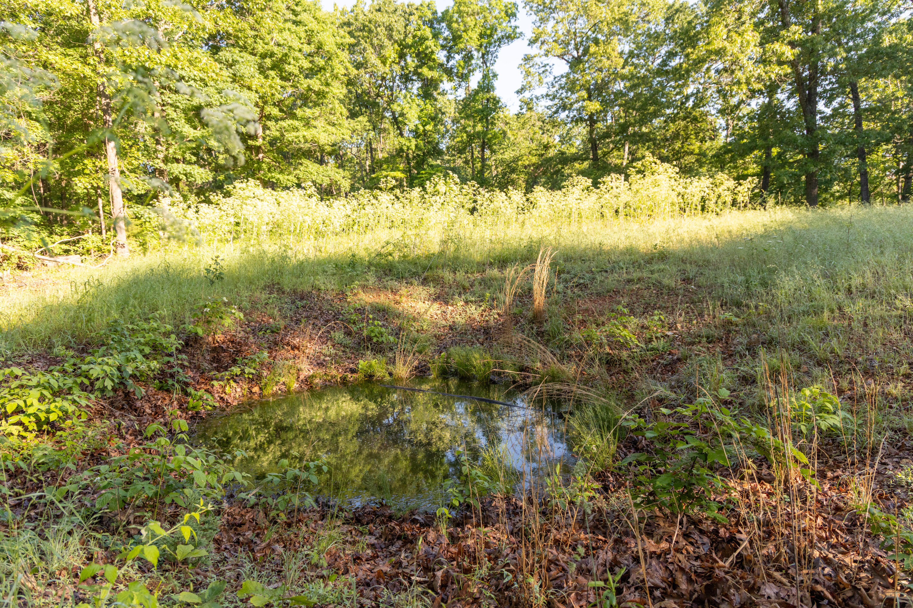 0000 Farm Road 1090 Property Photo 68
