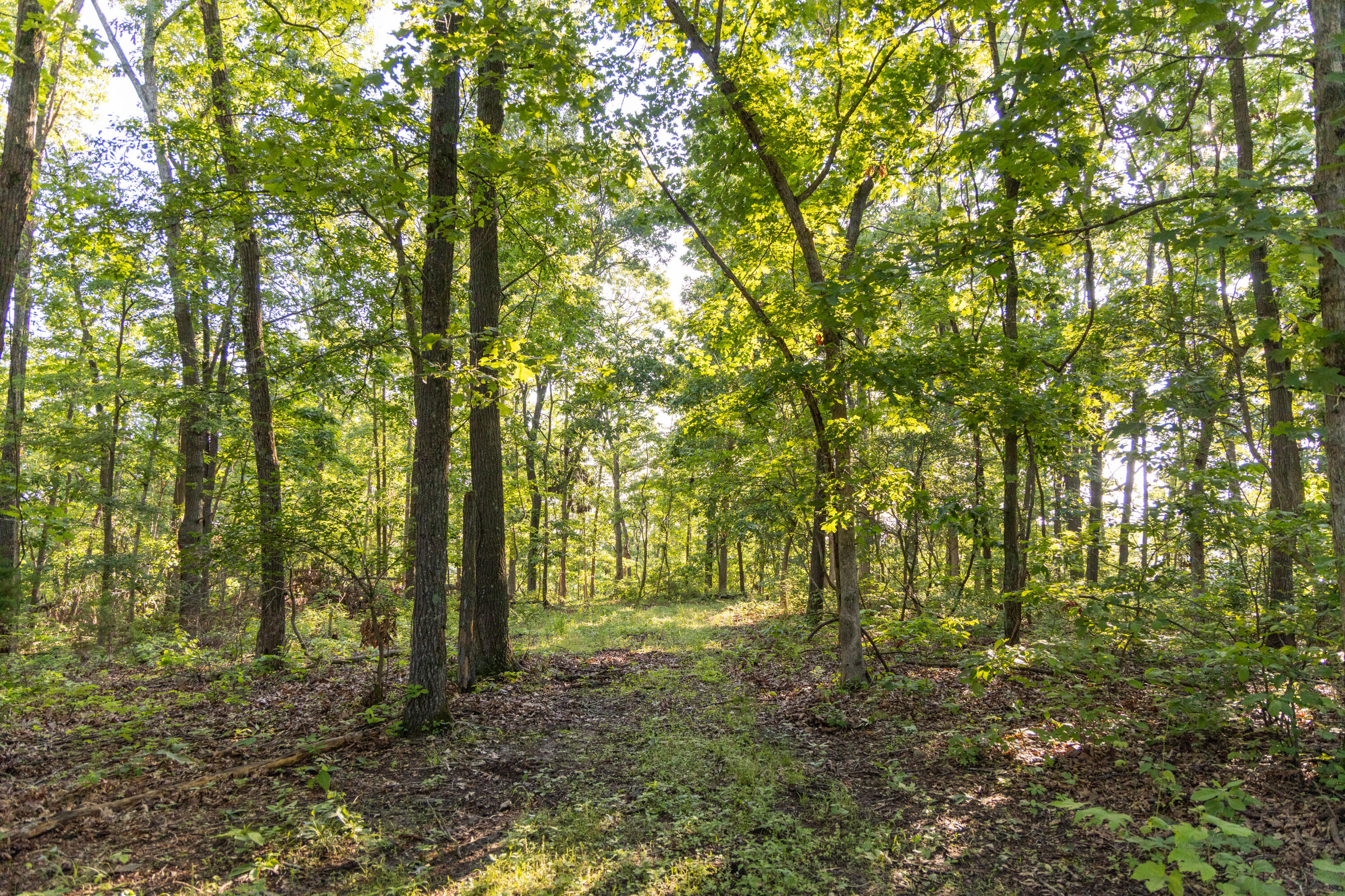 0000 Farm Road 1090 Property Photo 69