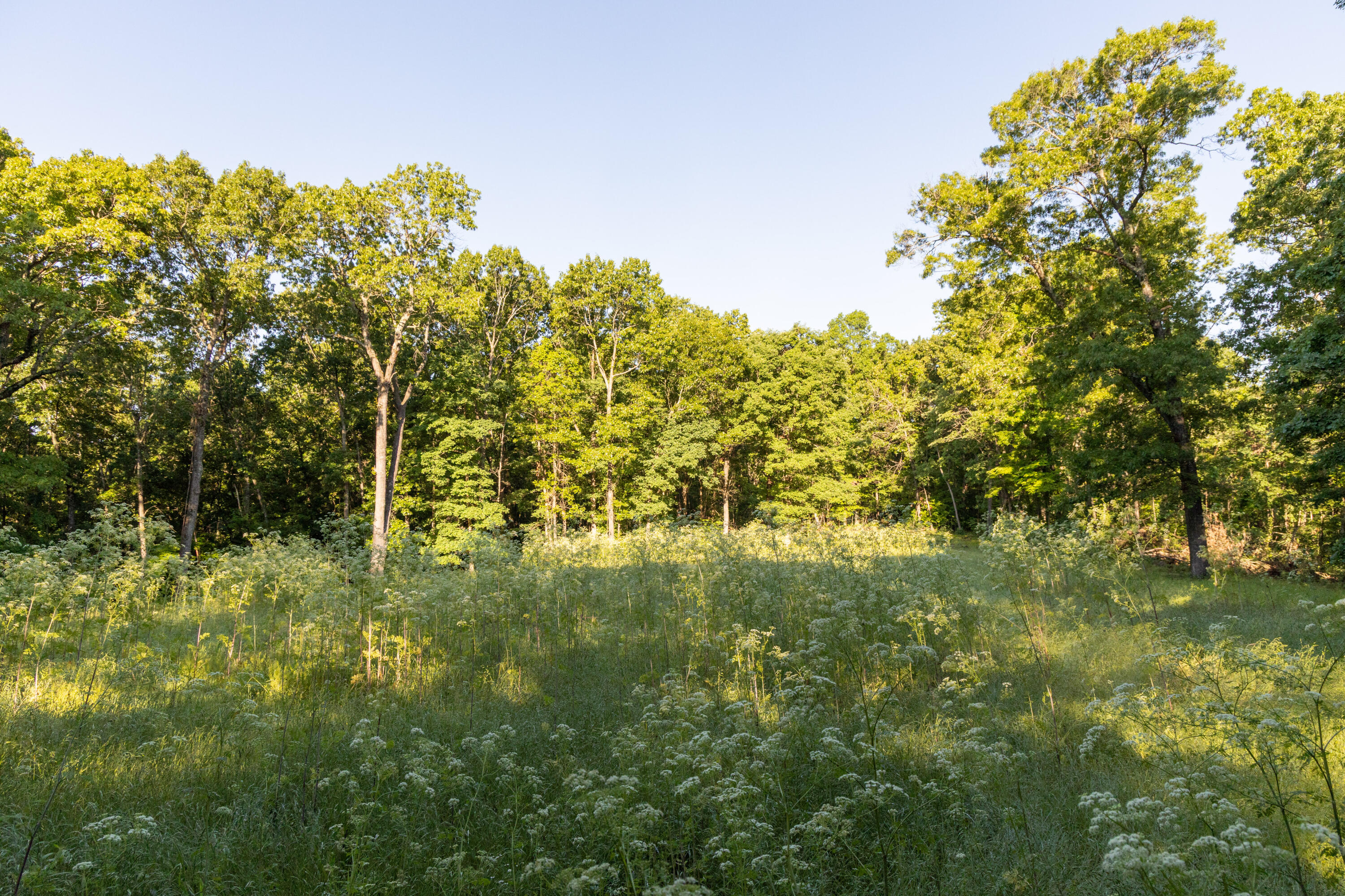 0000 Farm Road 1090 Property Photo 70