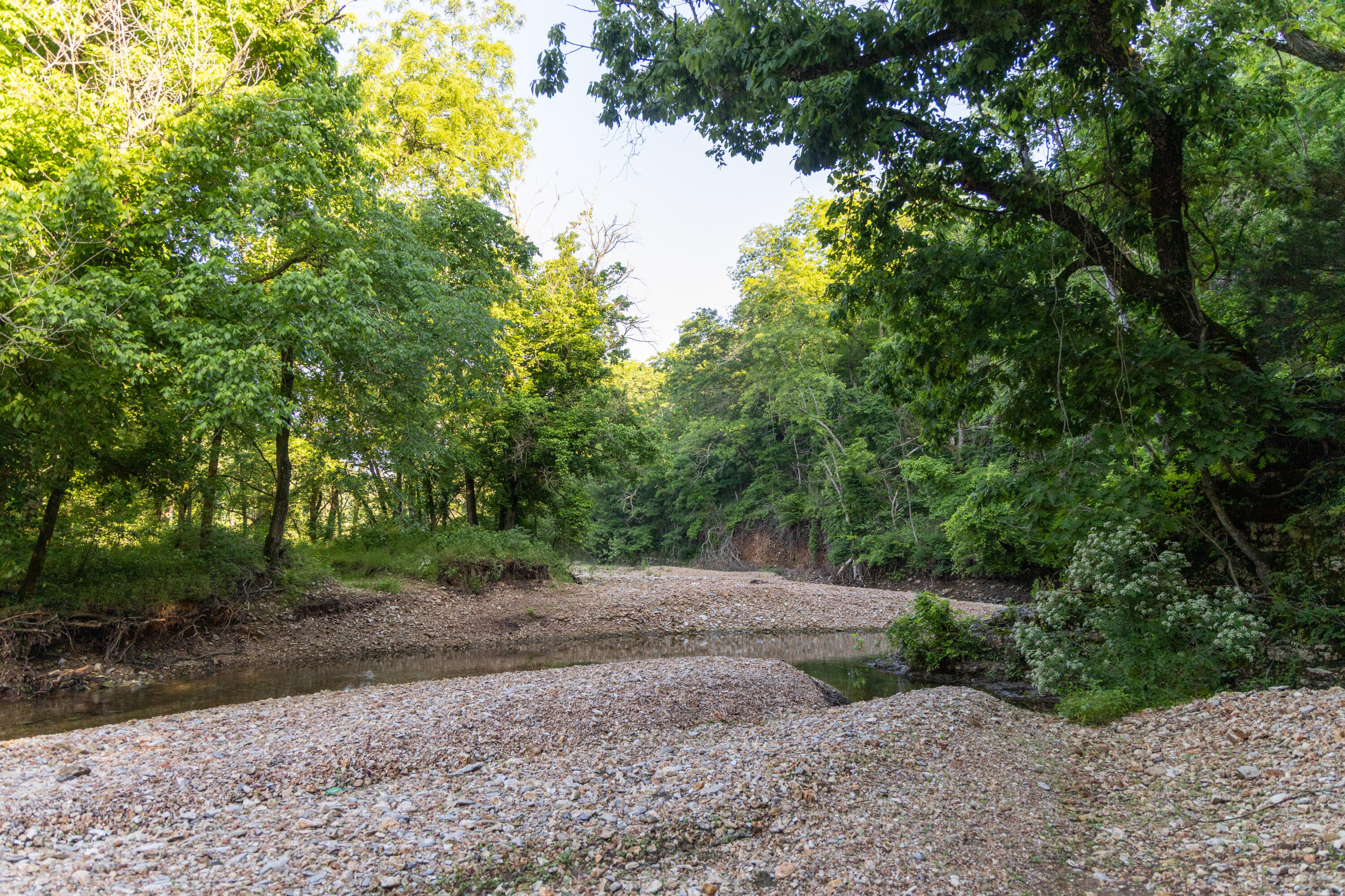0000 Farm Road 1090 Property Photo 82