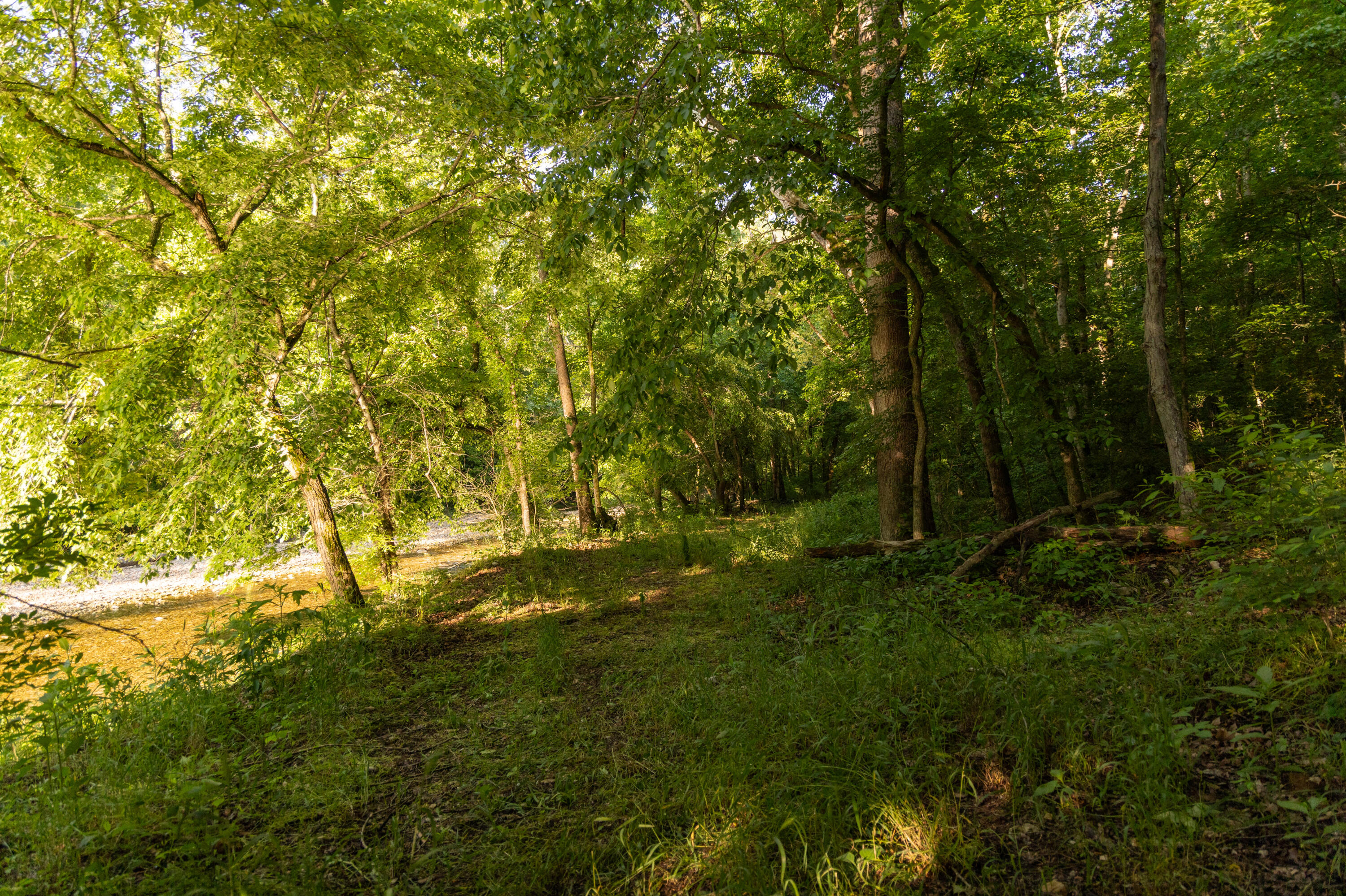 0000 Farm Road 1090 Property Photo 83