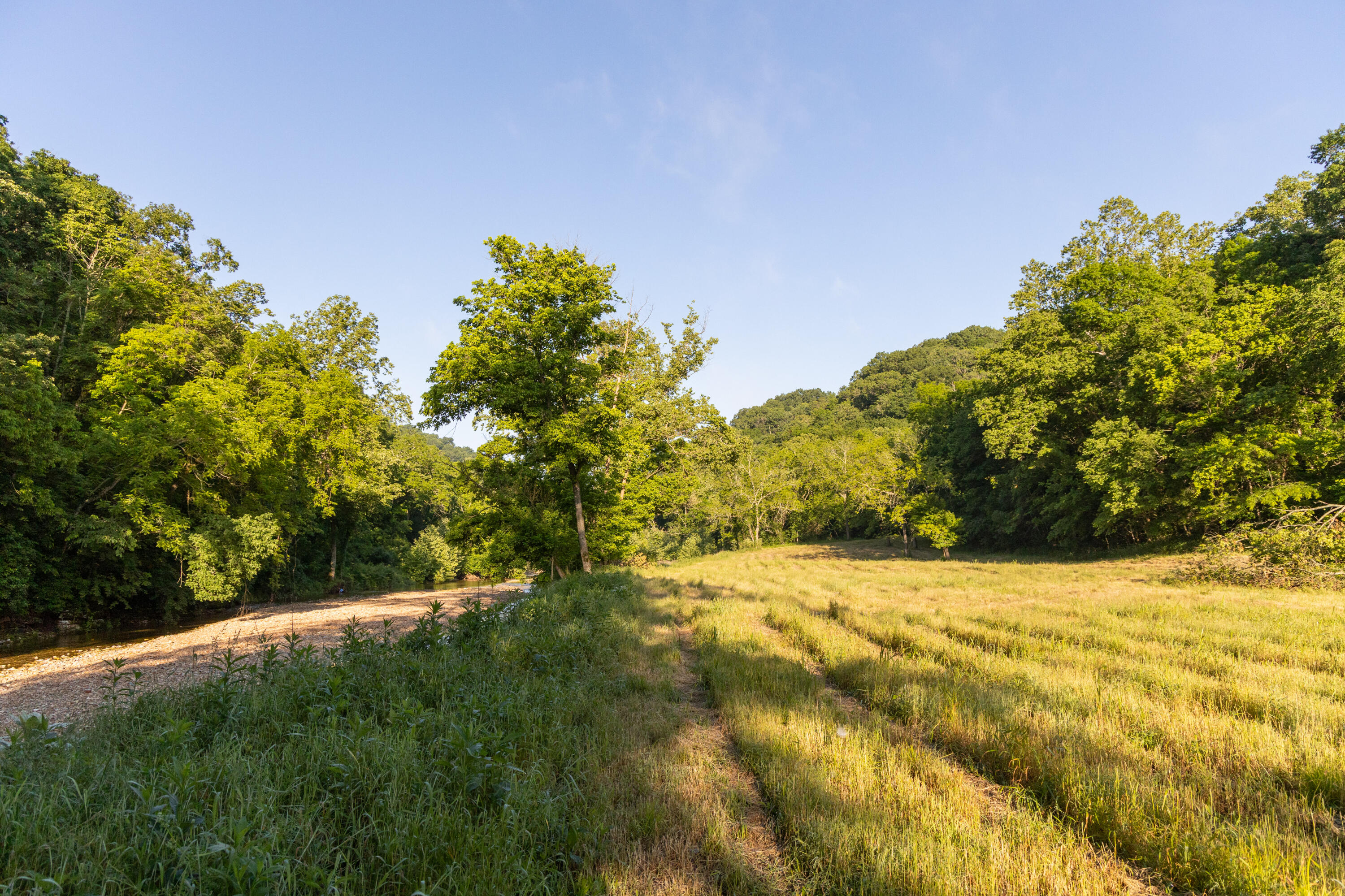 0000 Farm Road 1090 Property Photo 84