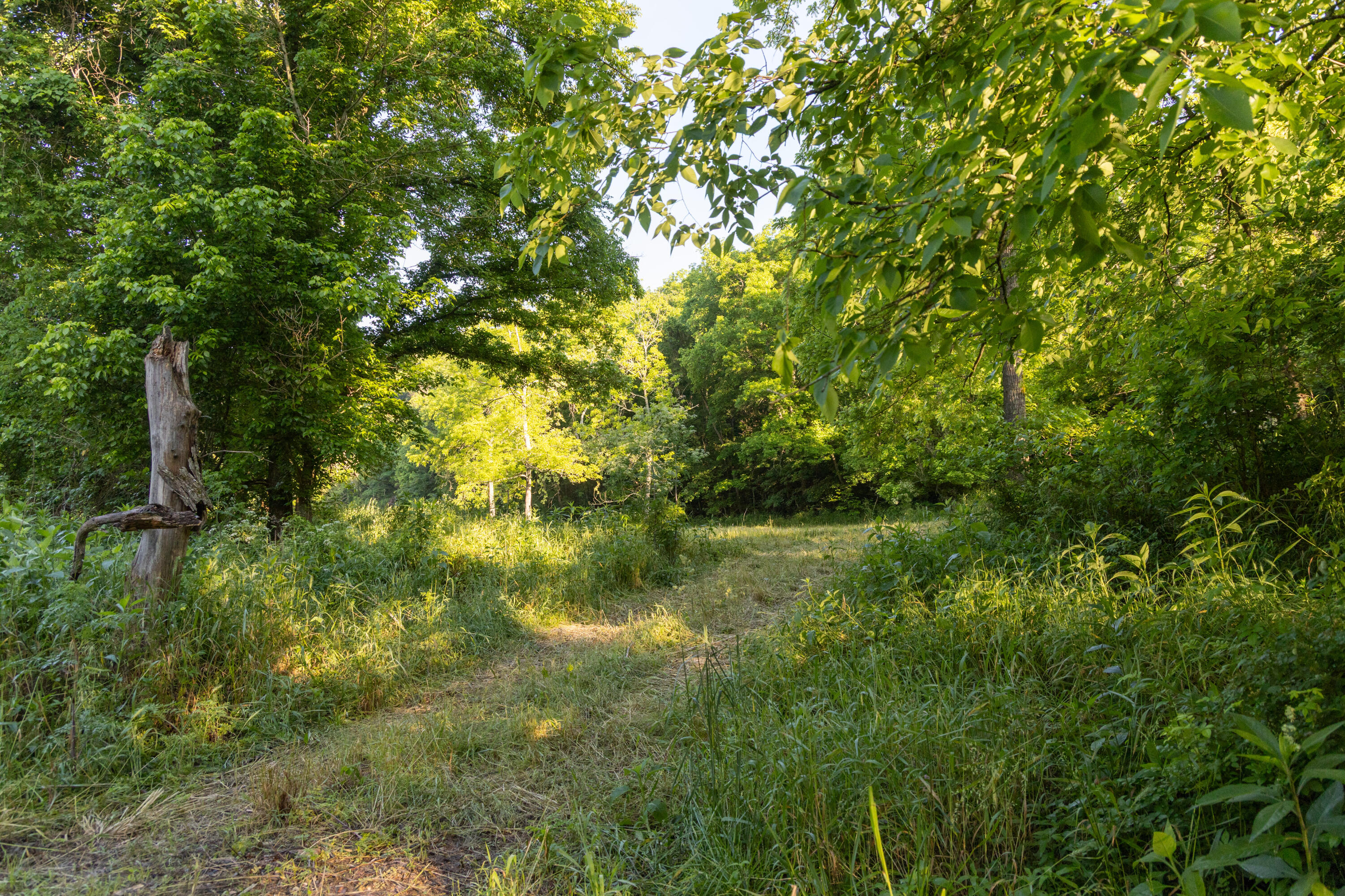 0000 Farm Road 1090 Property Photo 88
