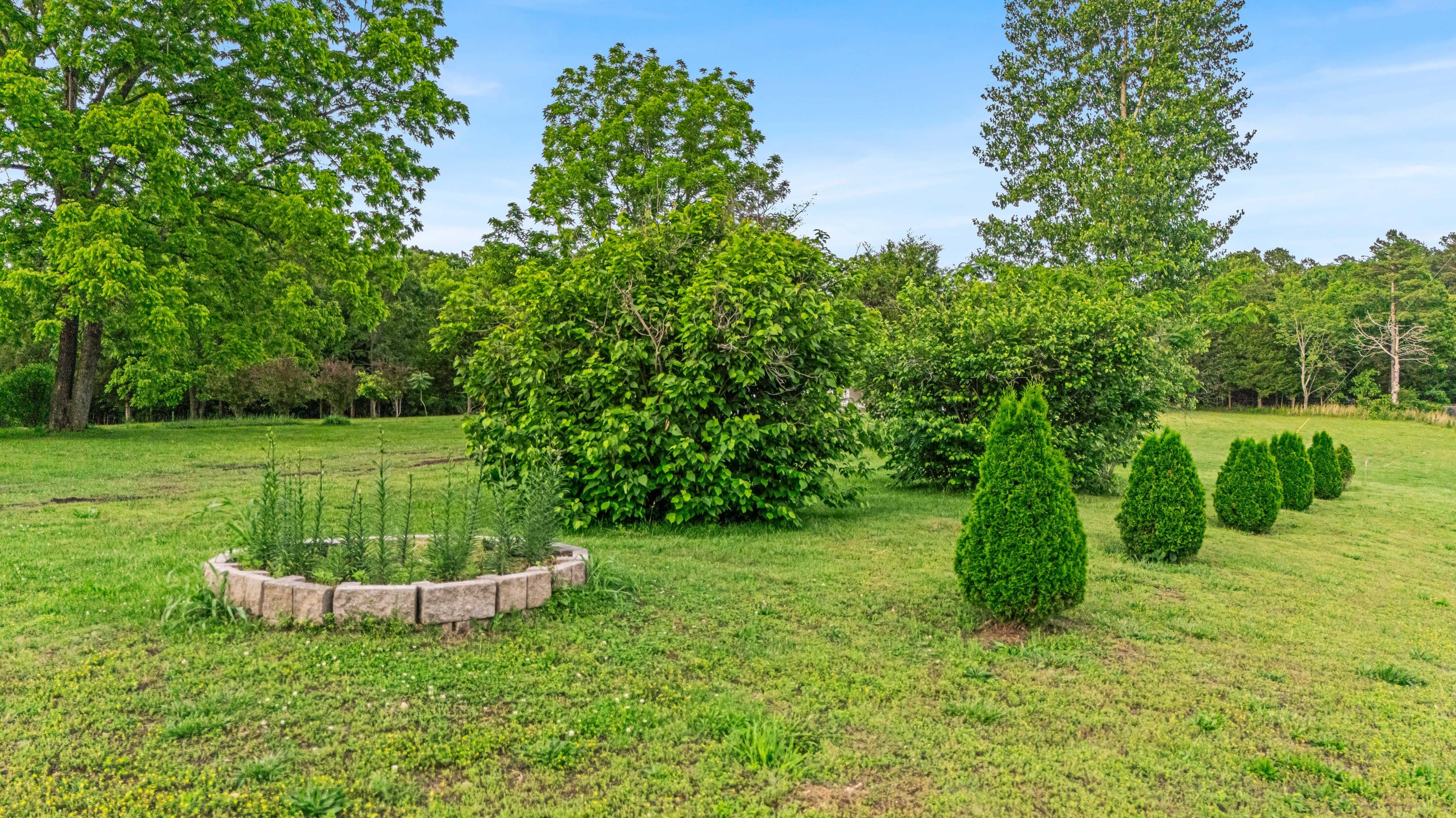 875 State Route T Property Photo 51