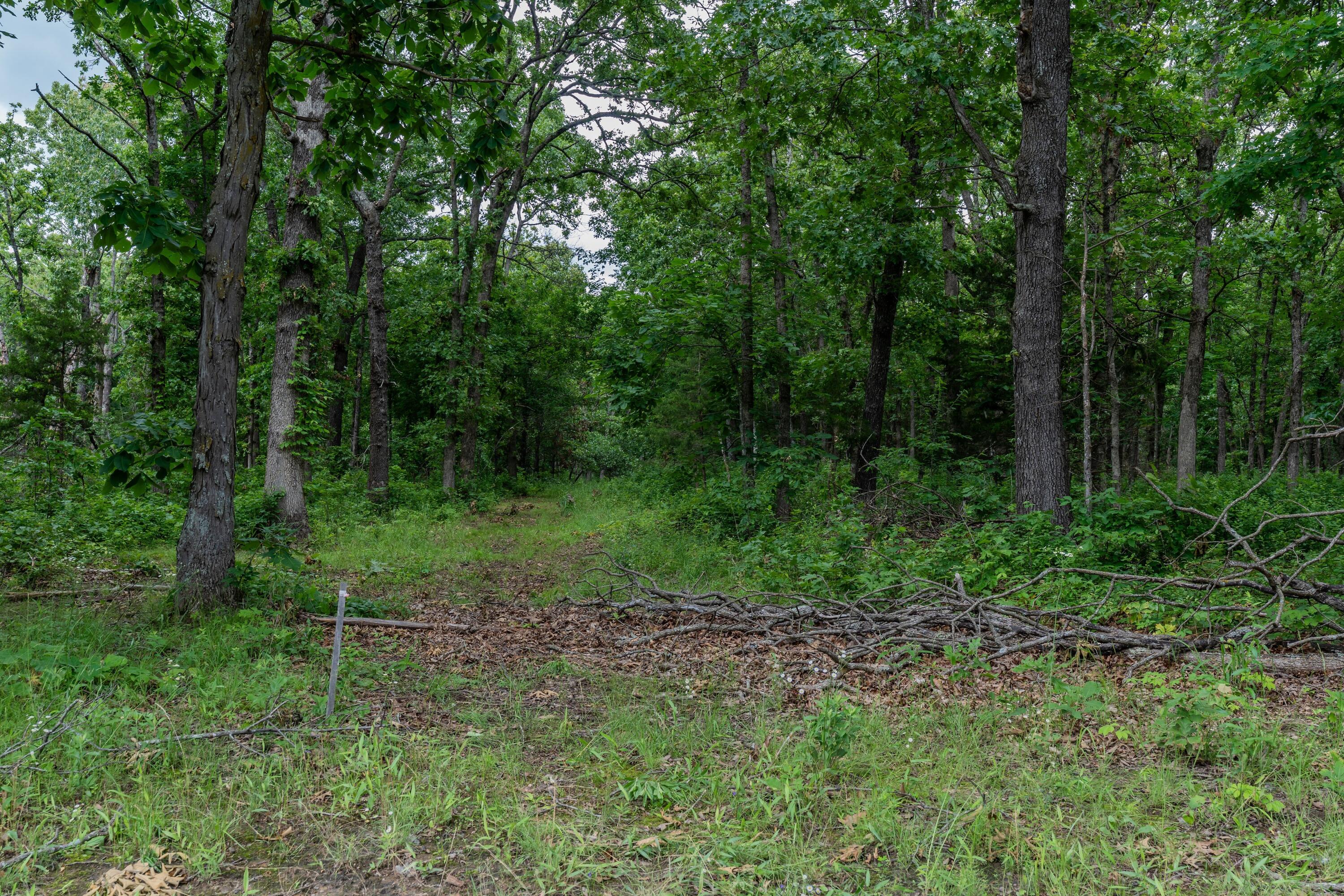 1501 Northeast 775 Road Property Photo 47