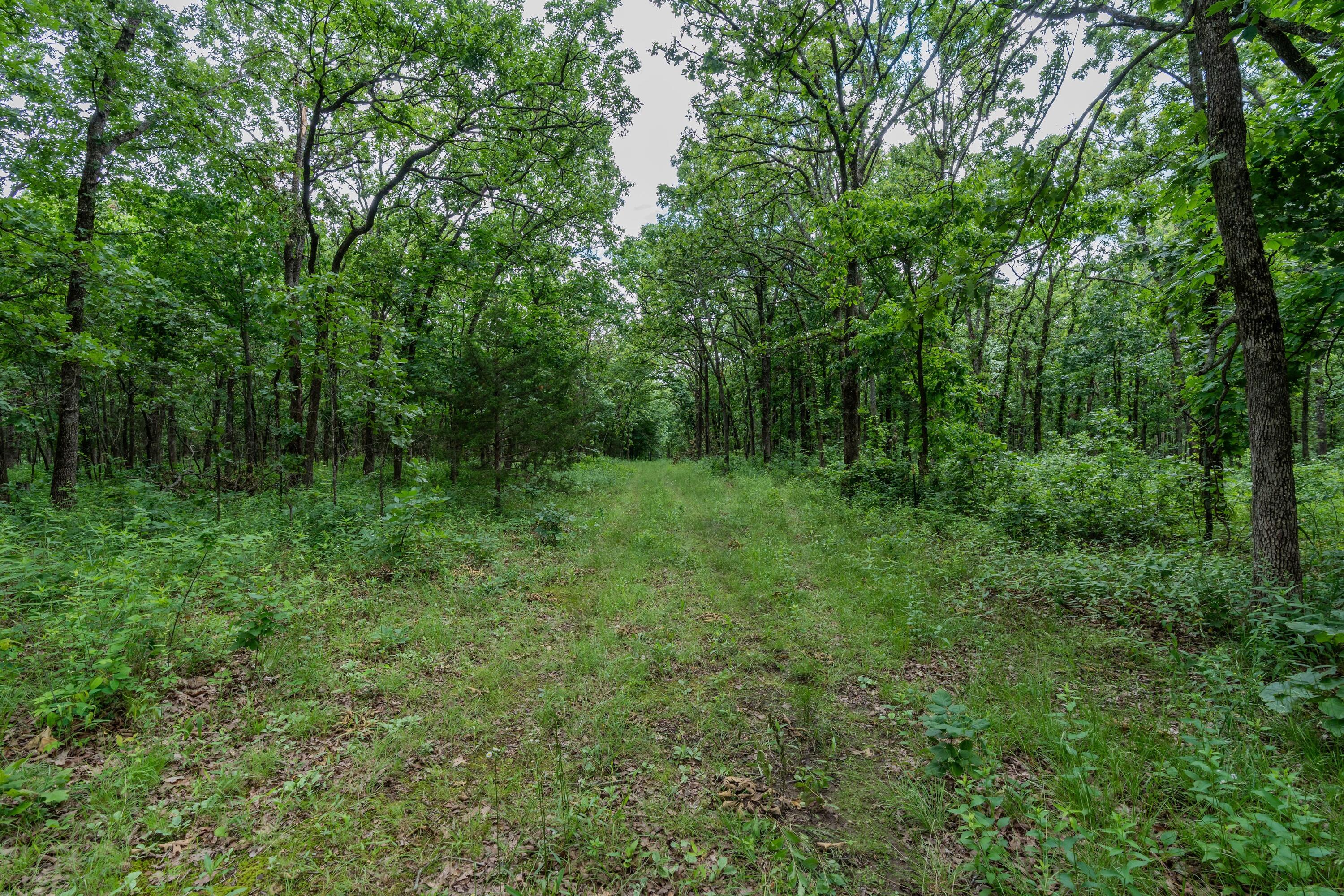 1501 Northeast 775 Road Property Photo 58