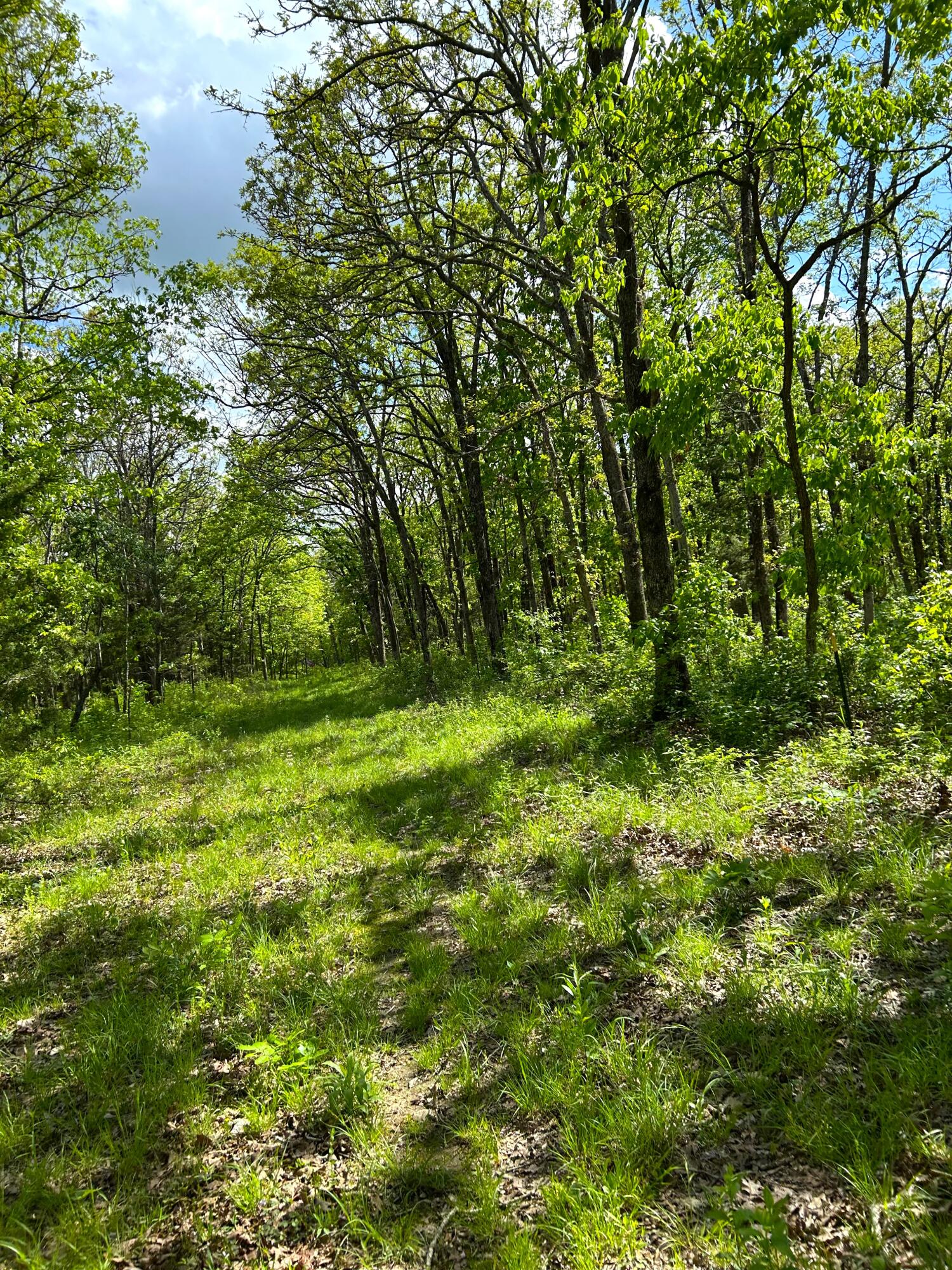 1501 Northeast 775 Road Property Photo 63