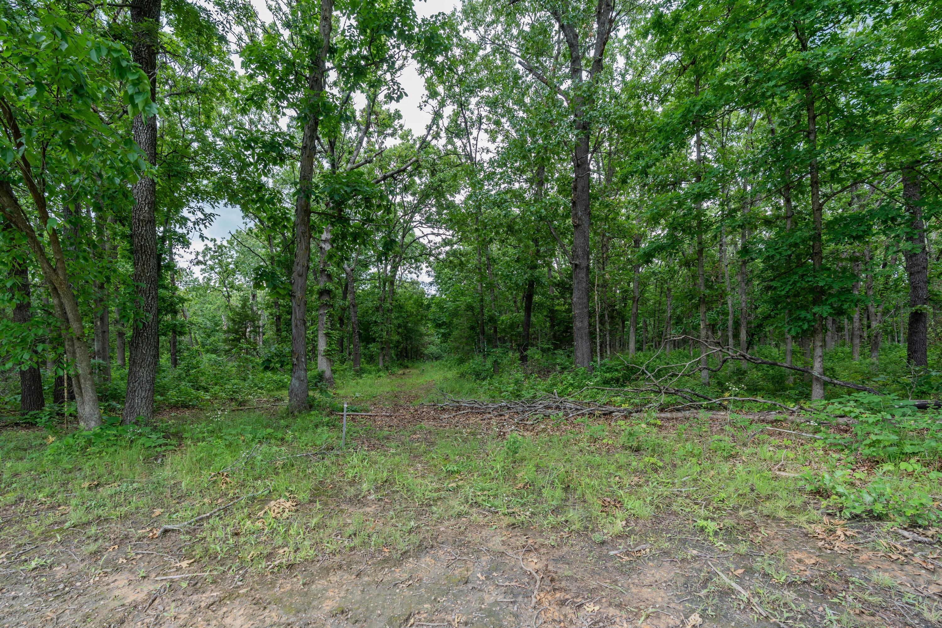 1501 Northeast 775 Road Property Photo 65