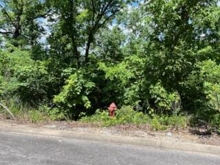 Lot 132a Skylee Drive Property Photo 1