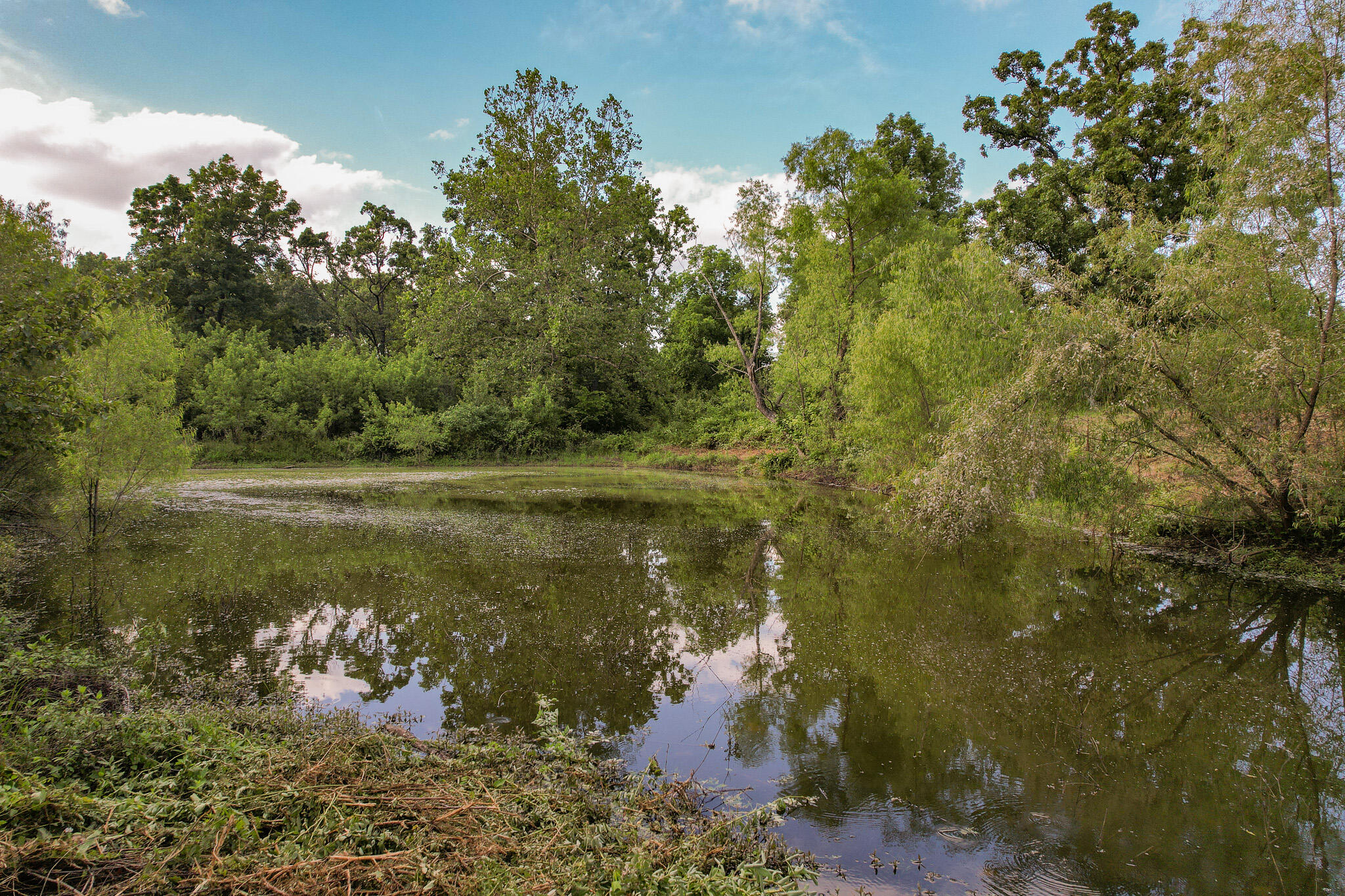 19040 Norway Road Property Photo 23