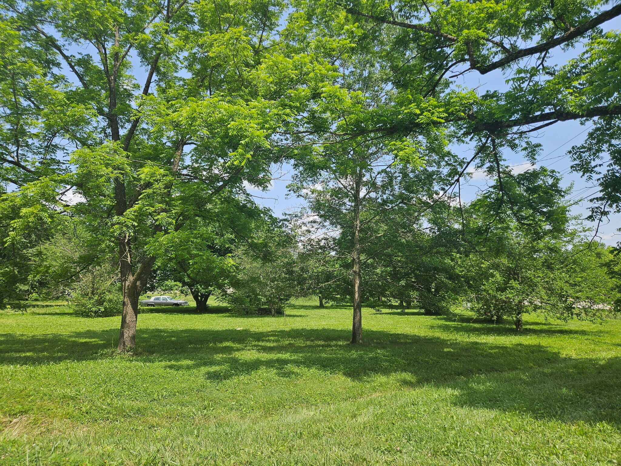 998 Post Oak Property Photo 20