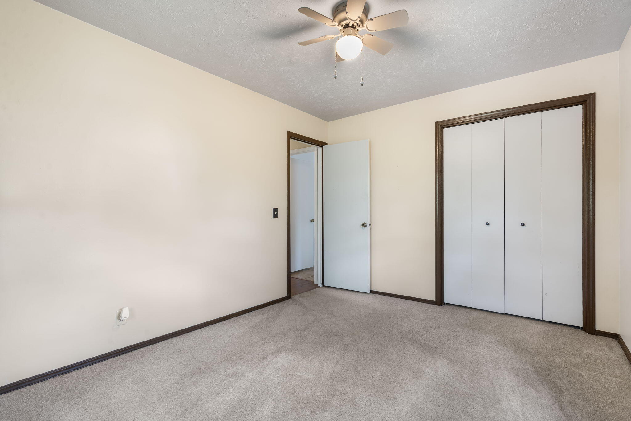 546 Cannon Ball Loop Property Photo 15