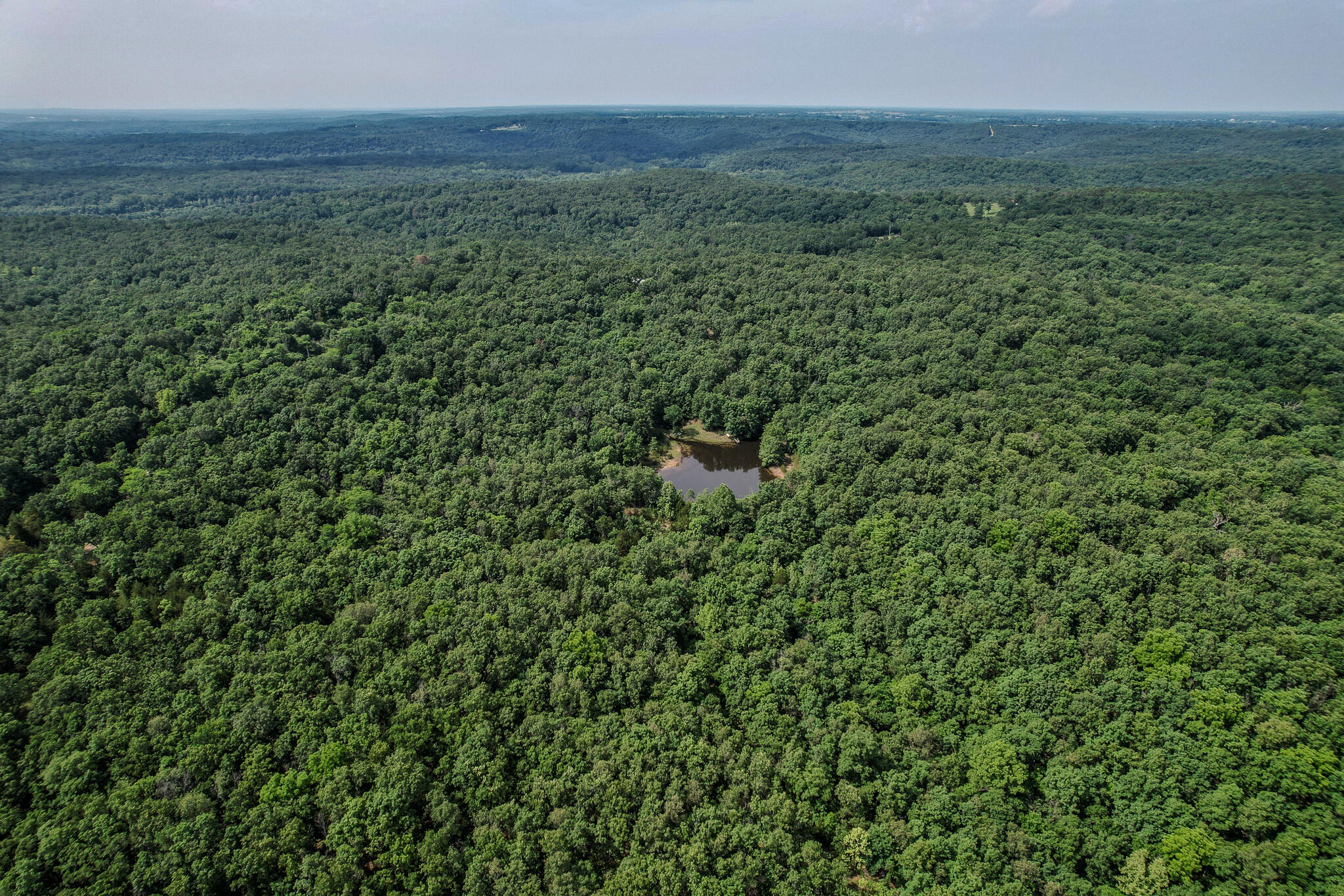 13589 Pumpkin Road Property Photo 21