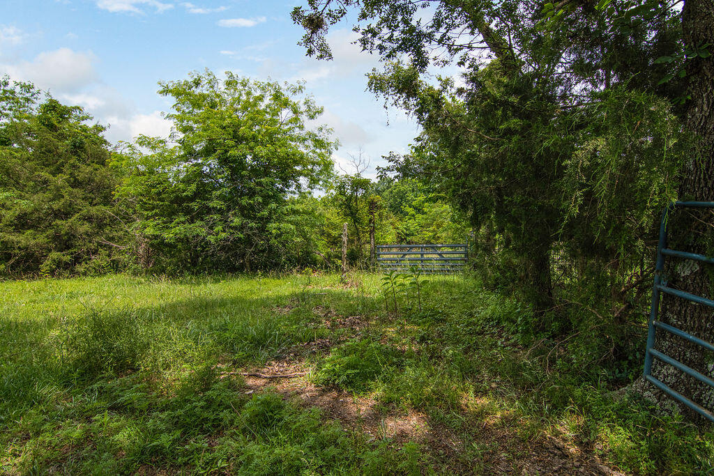6034 Flat Creek Road Property Photo 11
