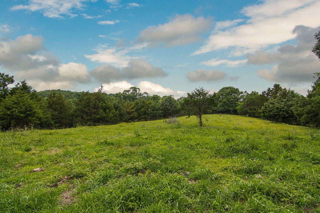 6034 Flat Creek Road Property Photo 16