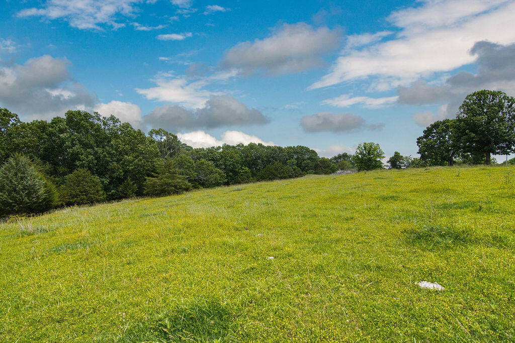 6034 Flat Creek Road Property Photo 20