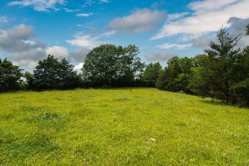 6034 Flat Creek Road Property Photo 21