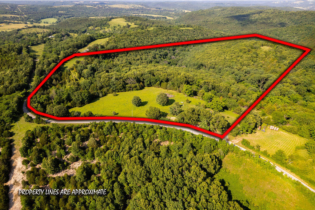 6034 Flat Creek Road Property Photo 43