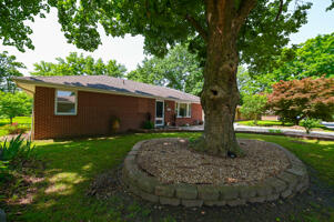 613 King Street Property Photo 8