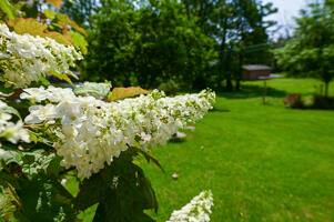 613 King Street Property Photo 12