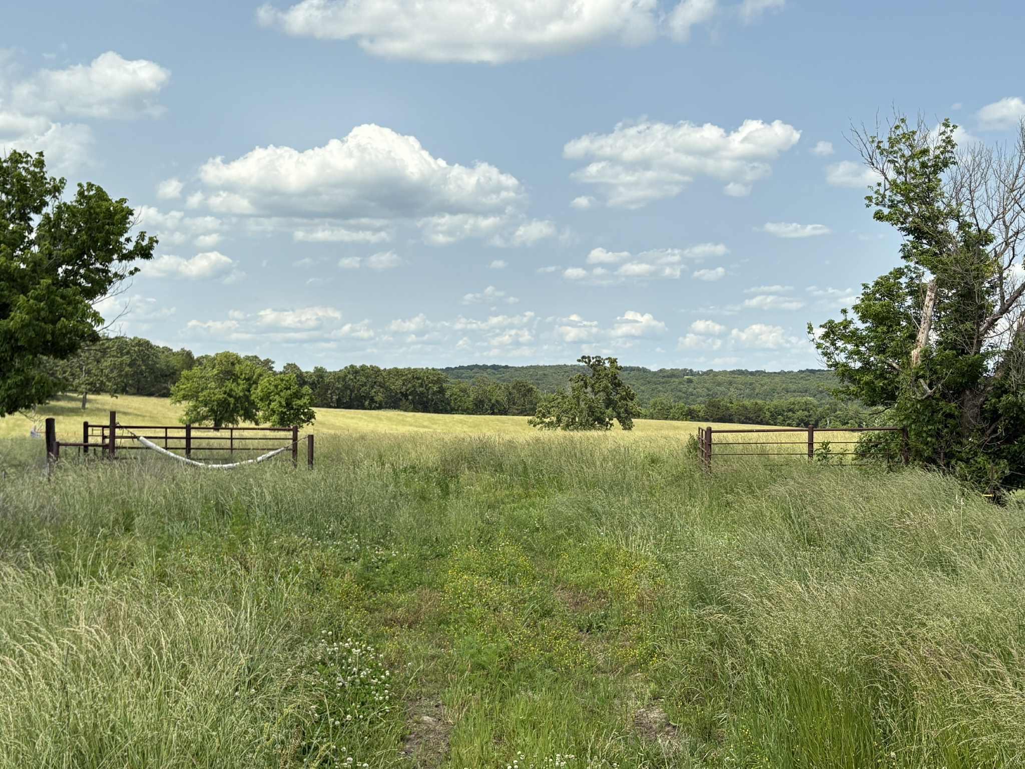 28781 Snipe Rd Property Photo 39