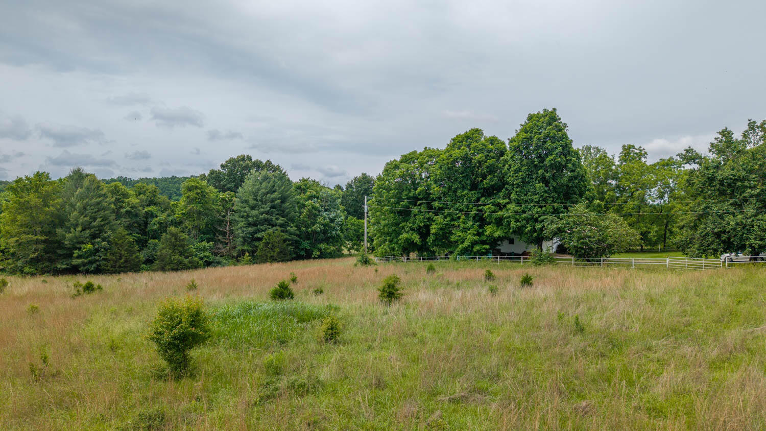 7042 County Road 220 Property Photo 52