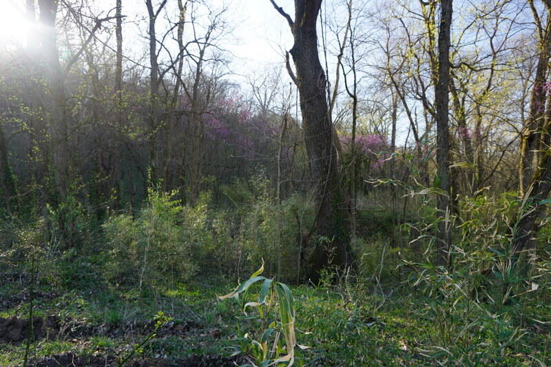 000 Iowa Colony Road Property Photo 3